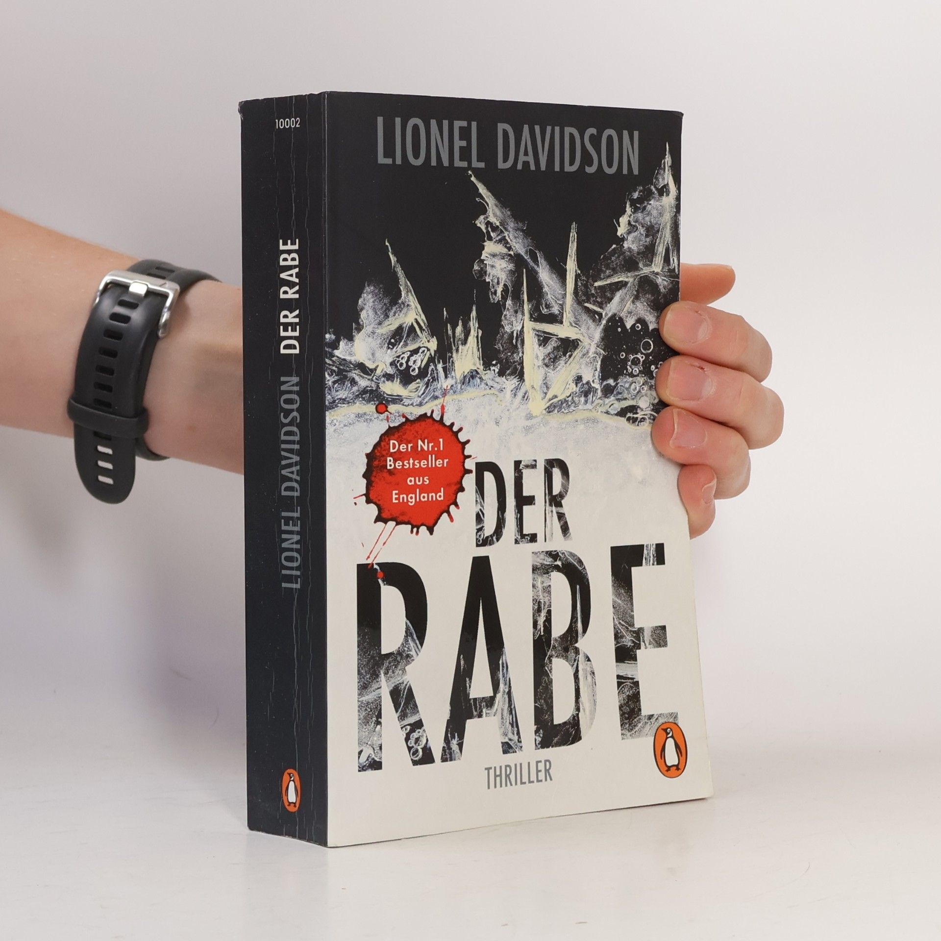 Lionel Davidson Der Rabe