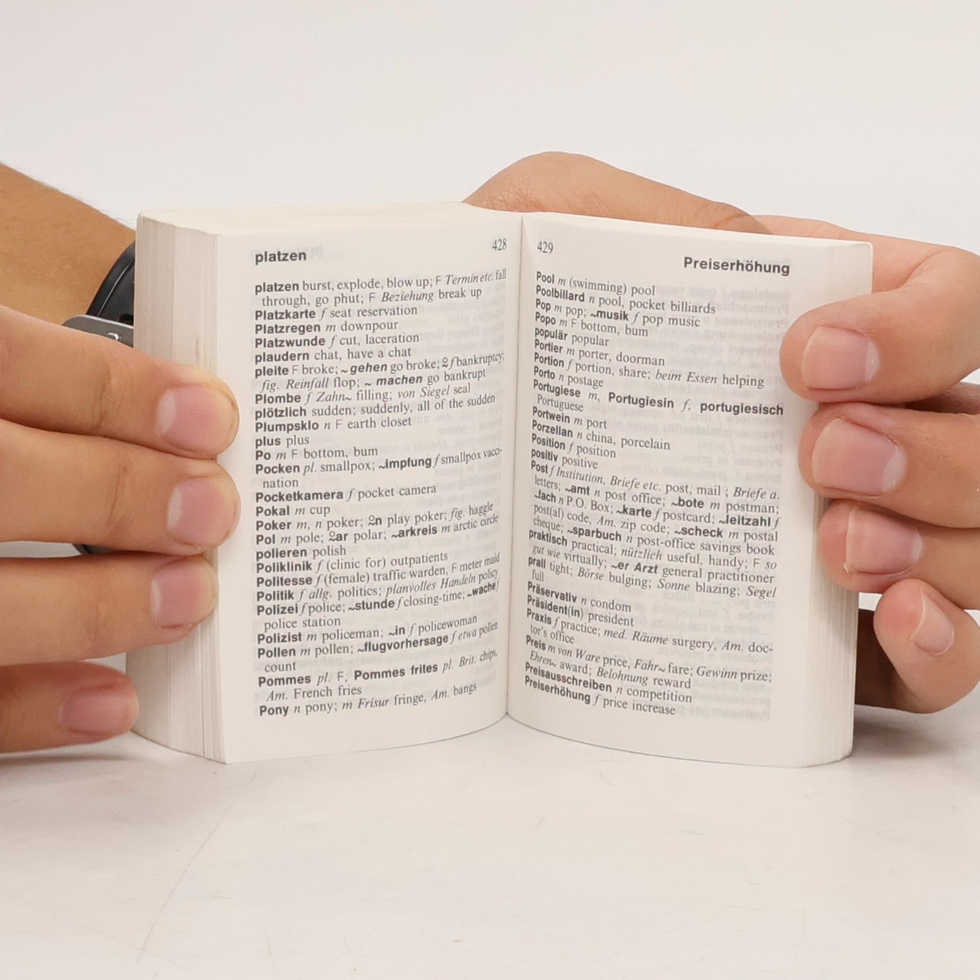 Langenscheidts Reisewörterbuch