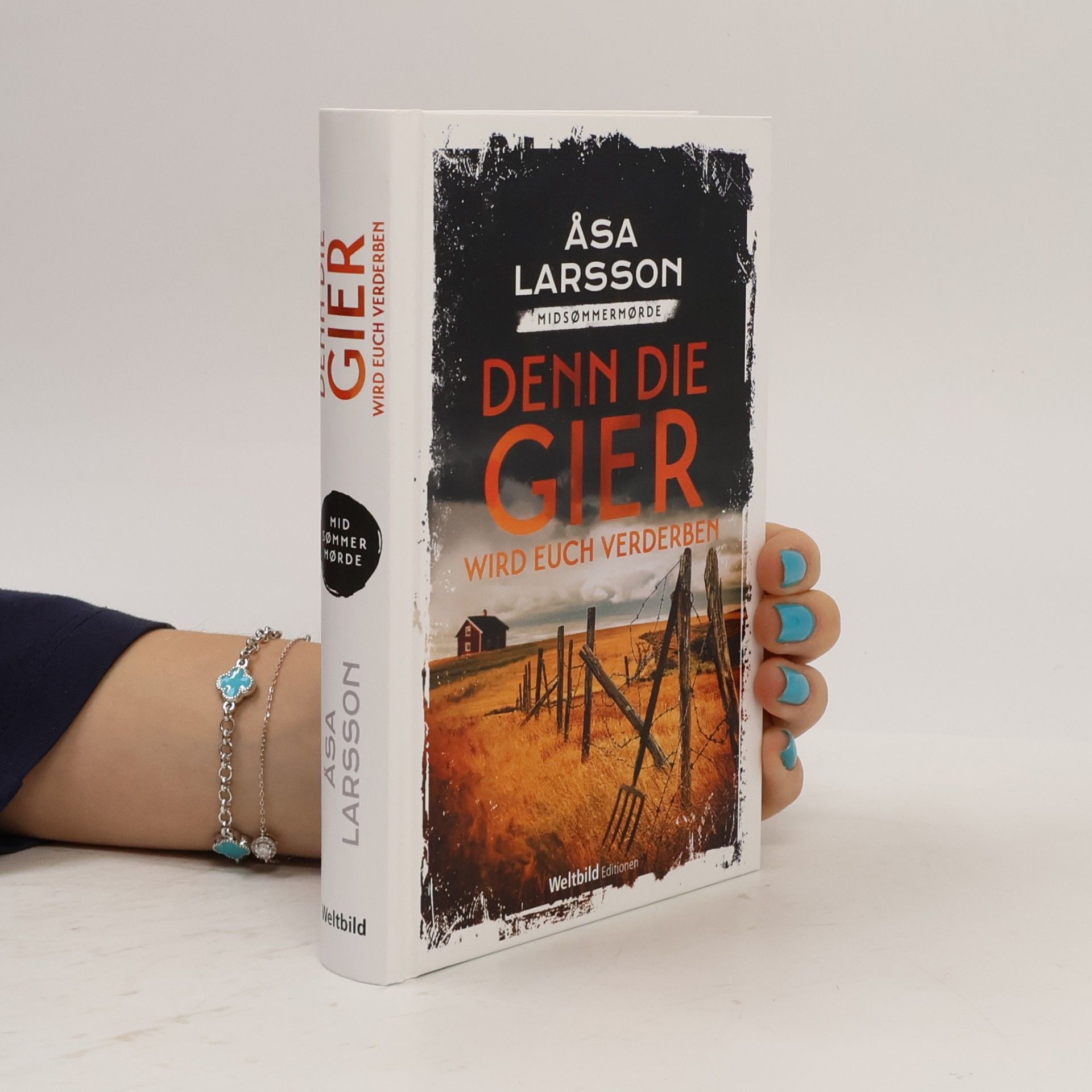 Åsa Larsson Denn die Gier wird euch verderben