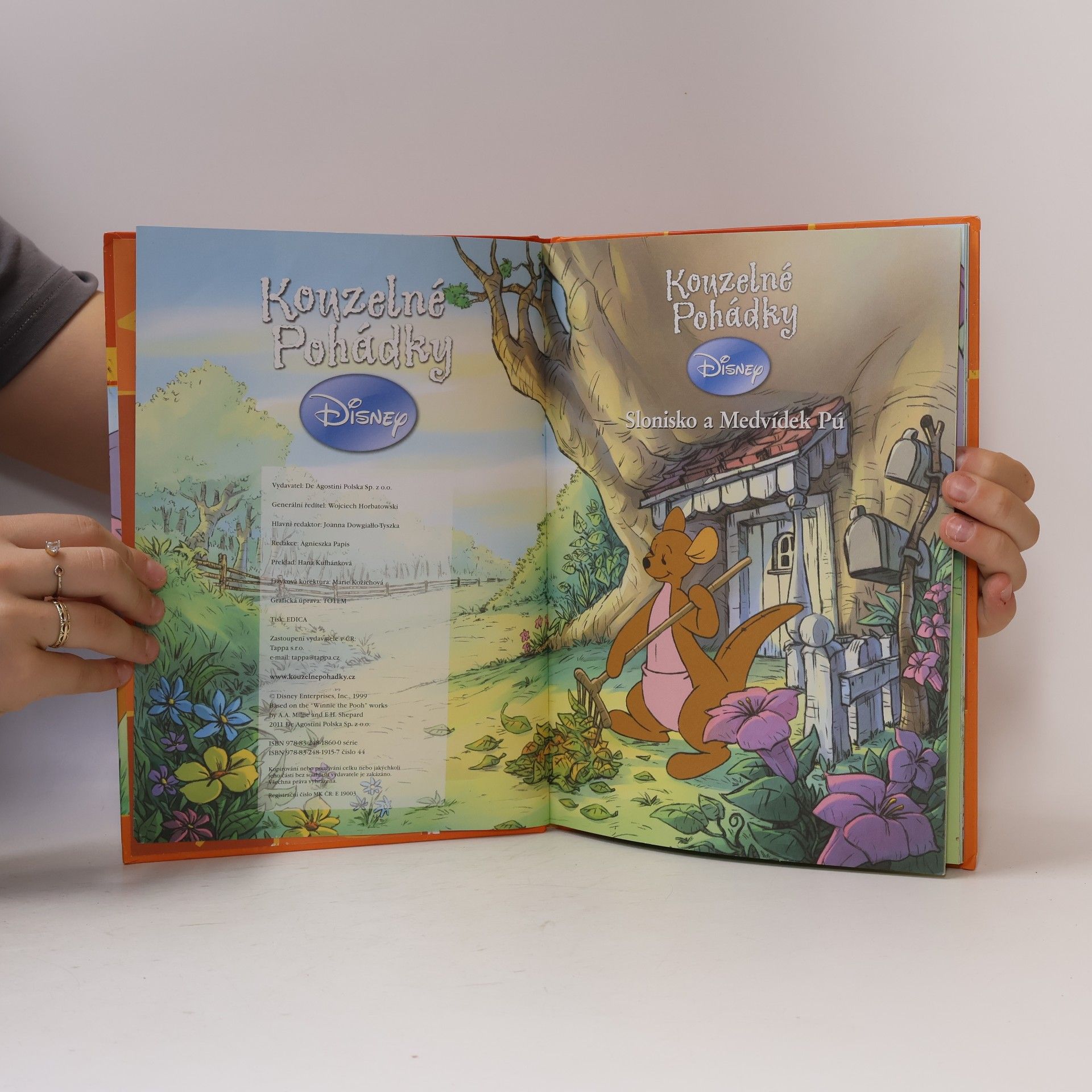 Autorenkollektiv Kouzelné pohádky. Slonisko a Medvídek Pú