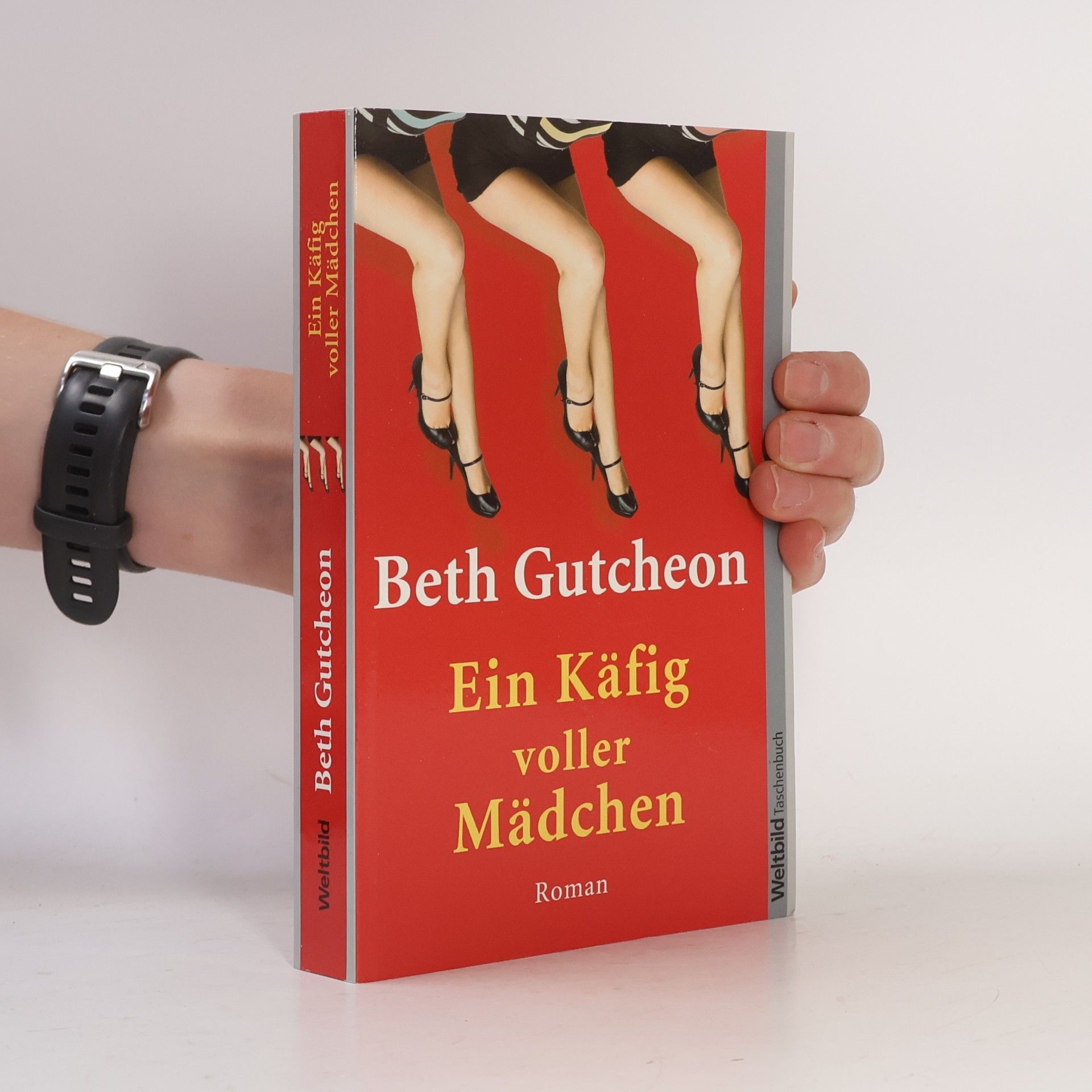 Beth Gutcheon Ein Käfig voller Mädchen
