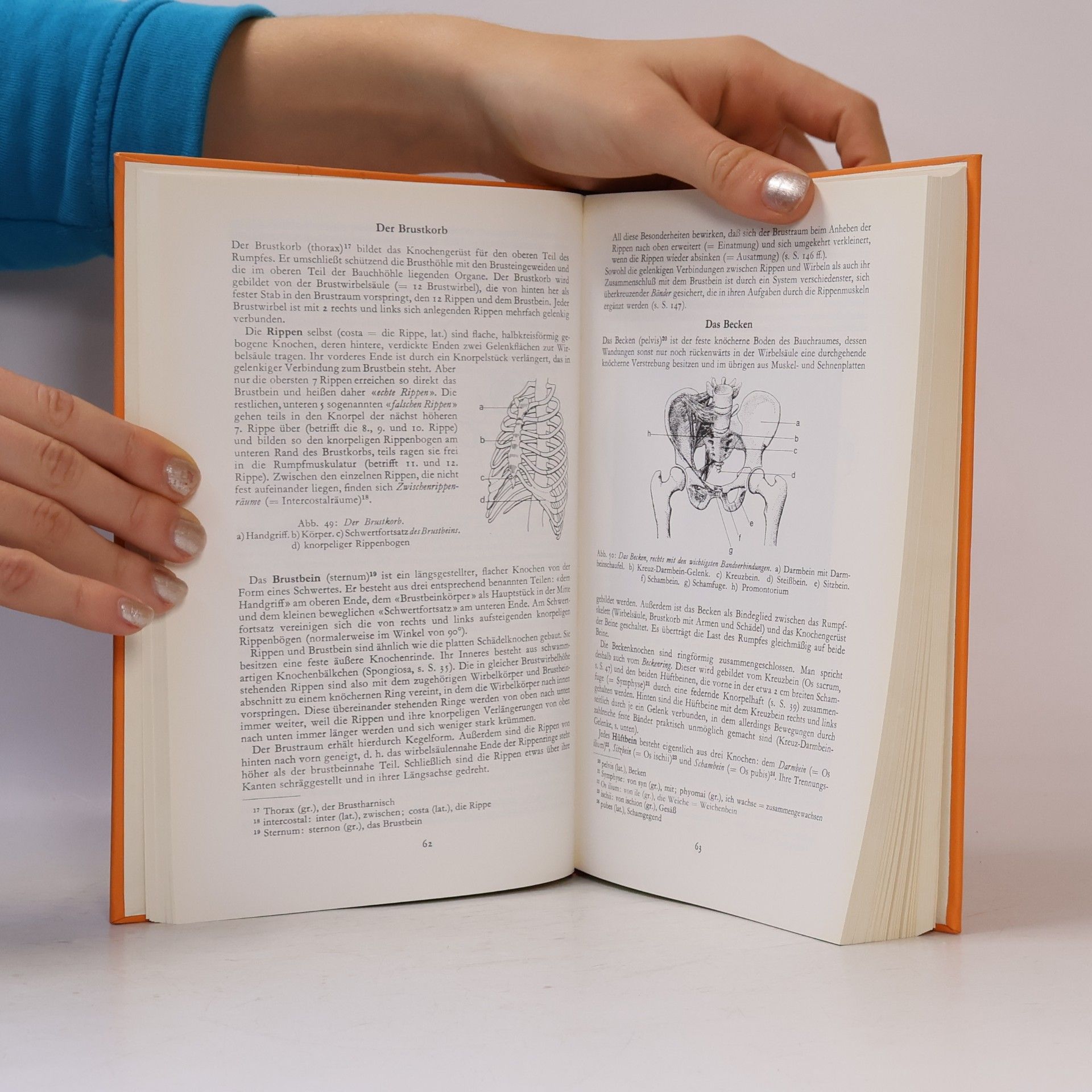 Hans Joachim von Brandis Anatomie und Physiologie für Schwestern und ärztliche Mitarbeiter - 3. Auflage
