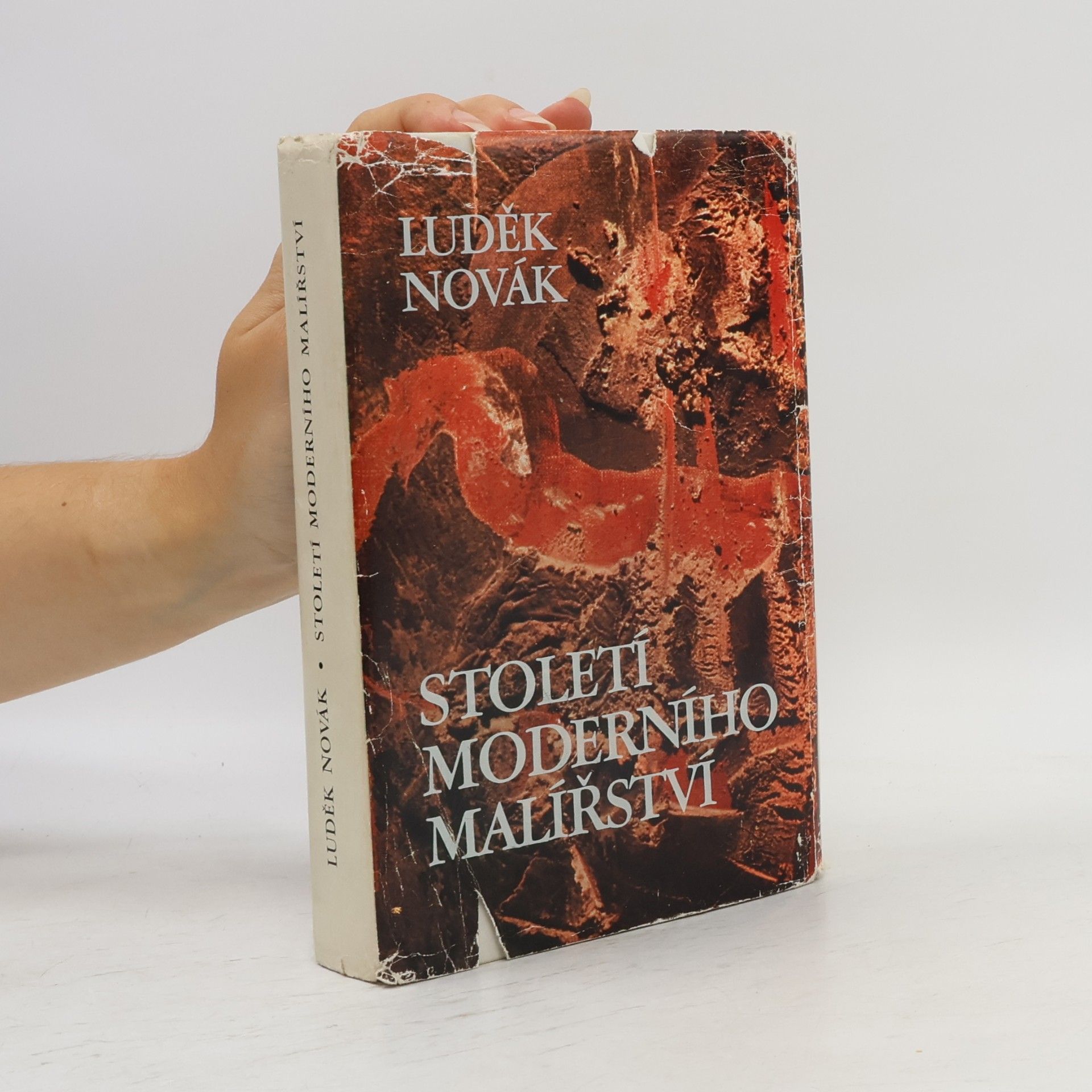 Luděk Novák Století moderního malířství 1865-1965