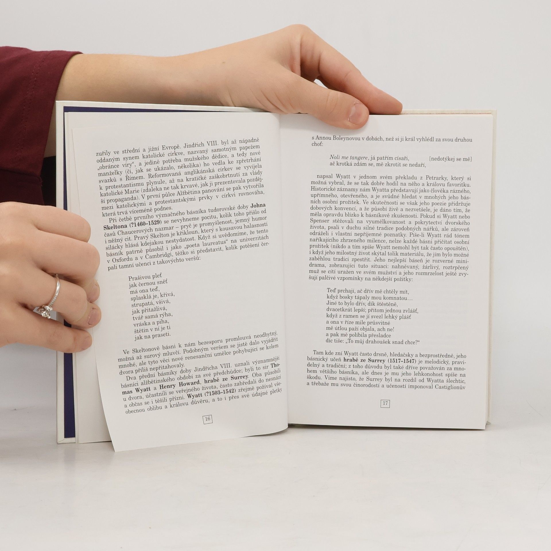Robert Barnard Stručné dějiny anglické literatury