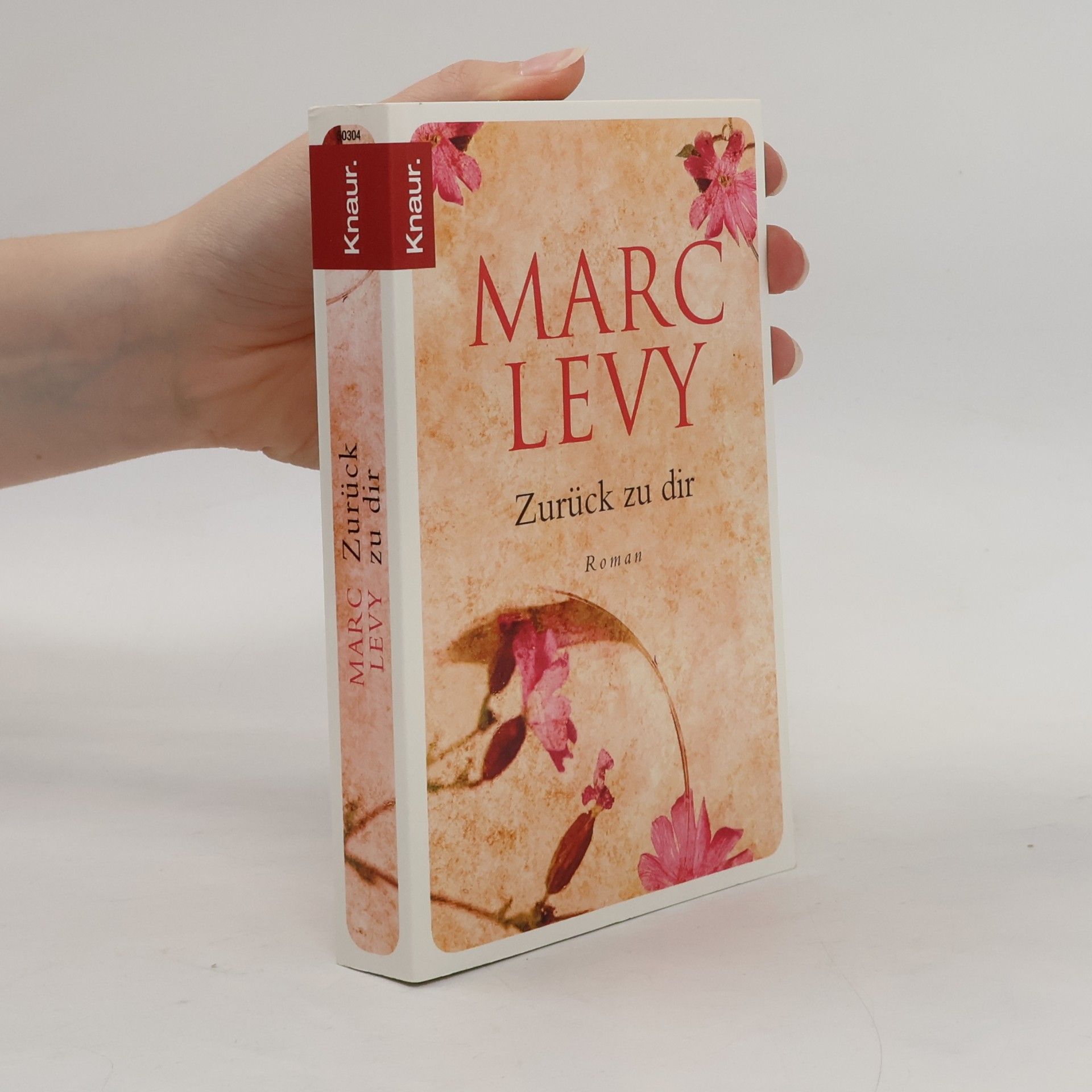 Marc Lévy Zurück zu dir