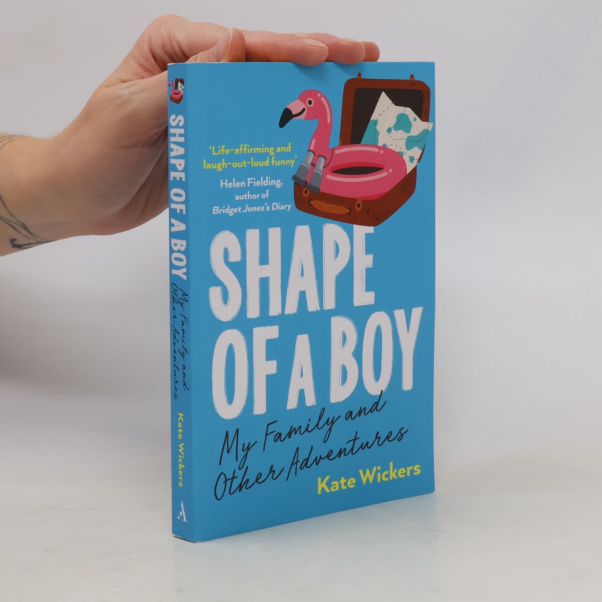 Kate Wickers Shape of a Boy