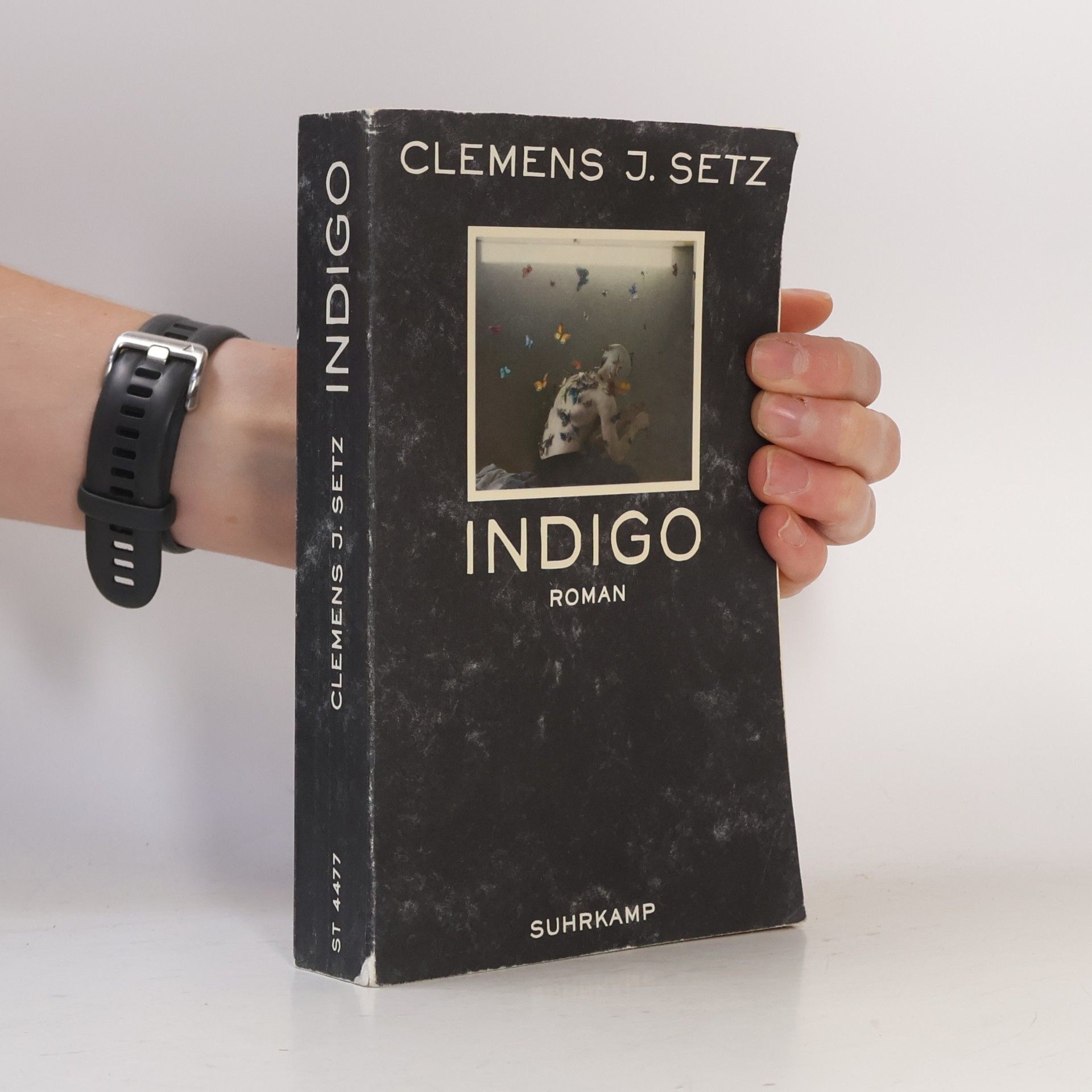 Clemens J. Setz Indigo