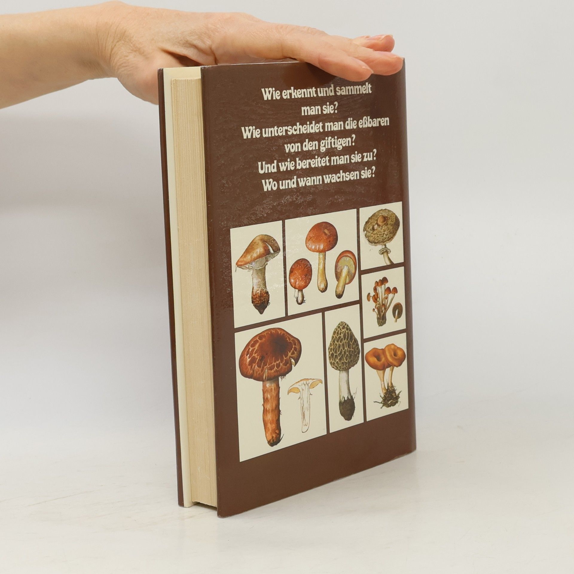 Antonín Příhoda Handbuch der Pilze