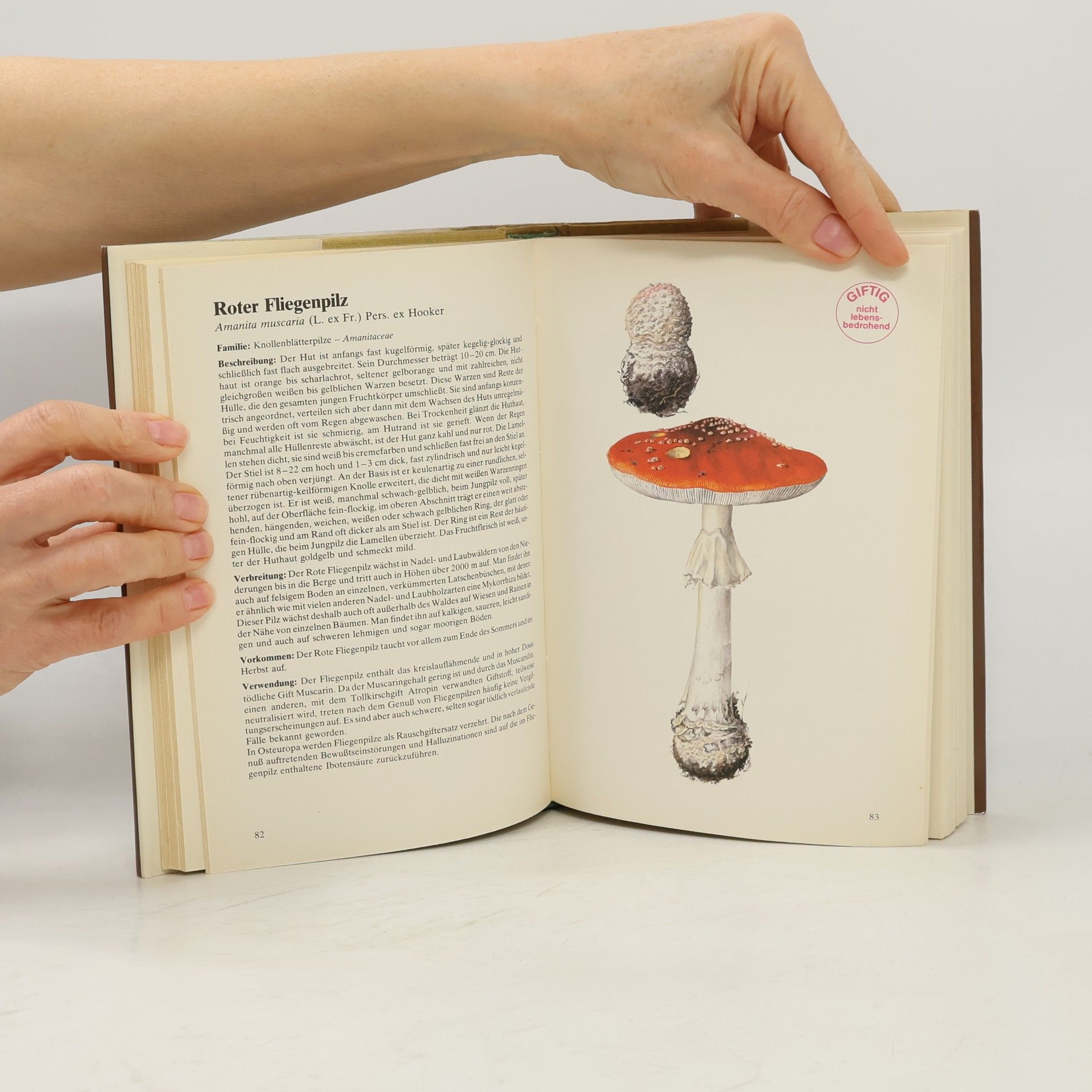 Antonín Příhoda Handbuch der Pilze