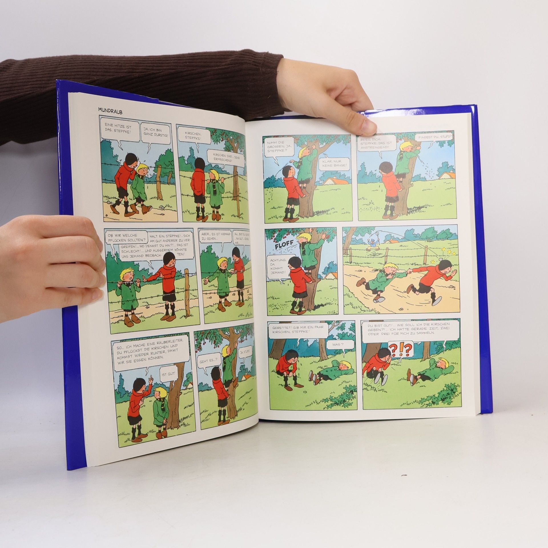 Hergé Wie entsteht ein Comic? 18