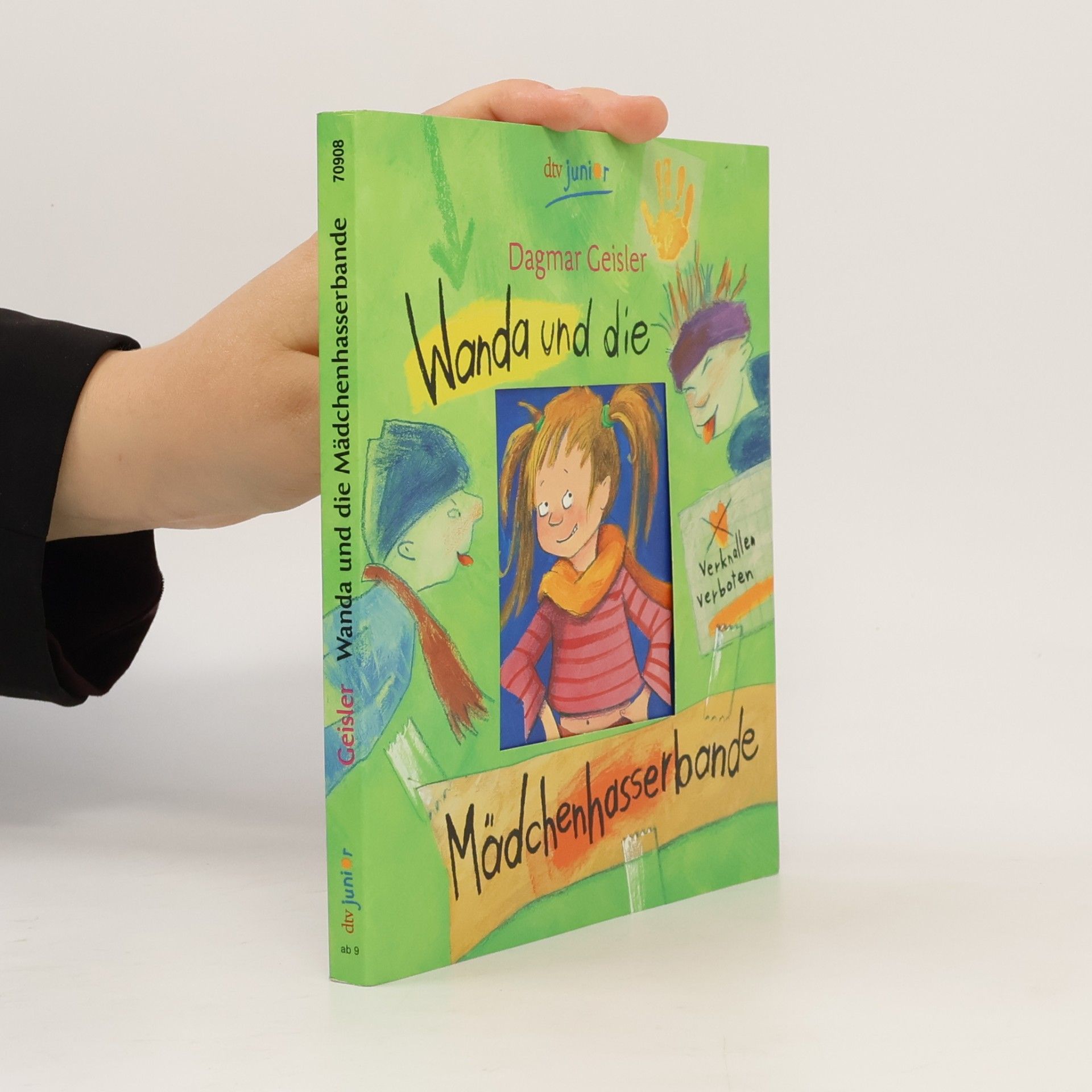 Dagmar Geisler Wanda und die Mädchenhasserbande