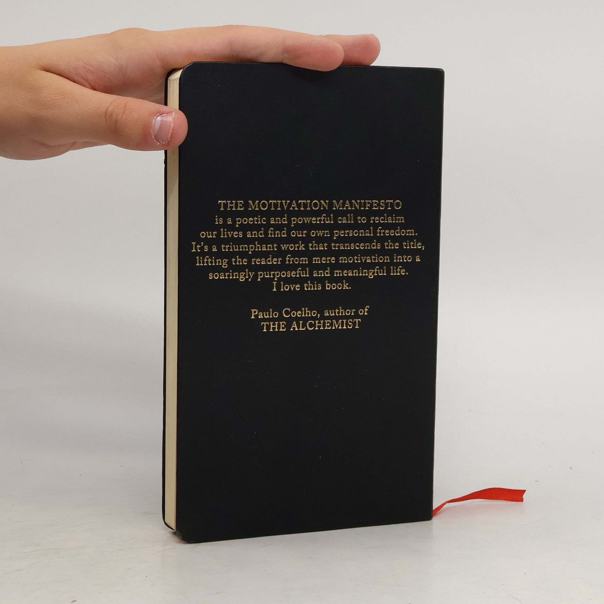 Brendon Burchard The Motivation Manifesto