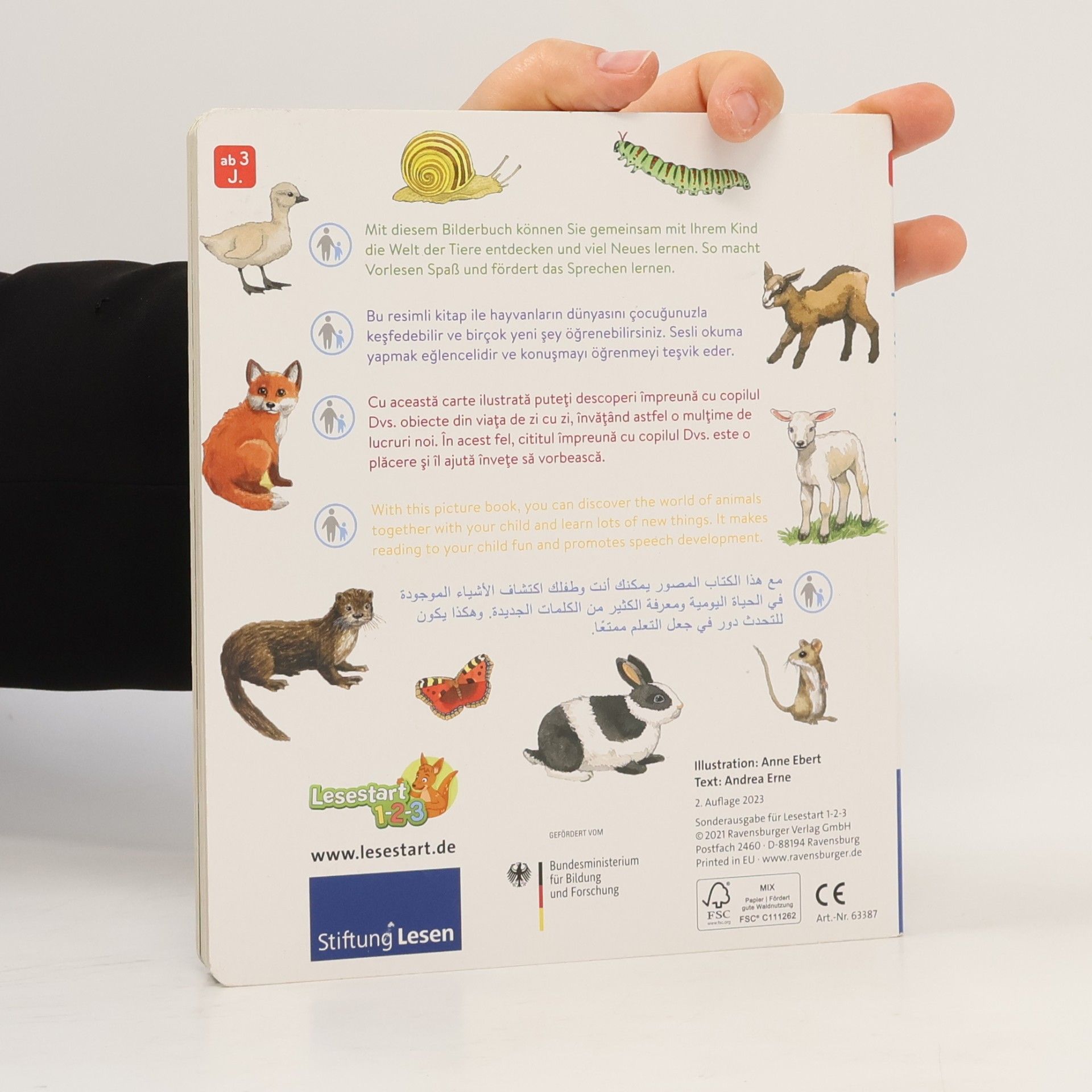 Andrea Erne Unsere Tiere und ihre Kinder