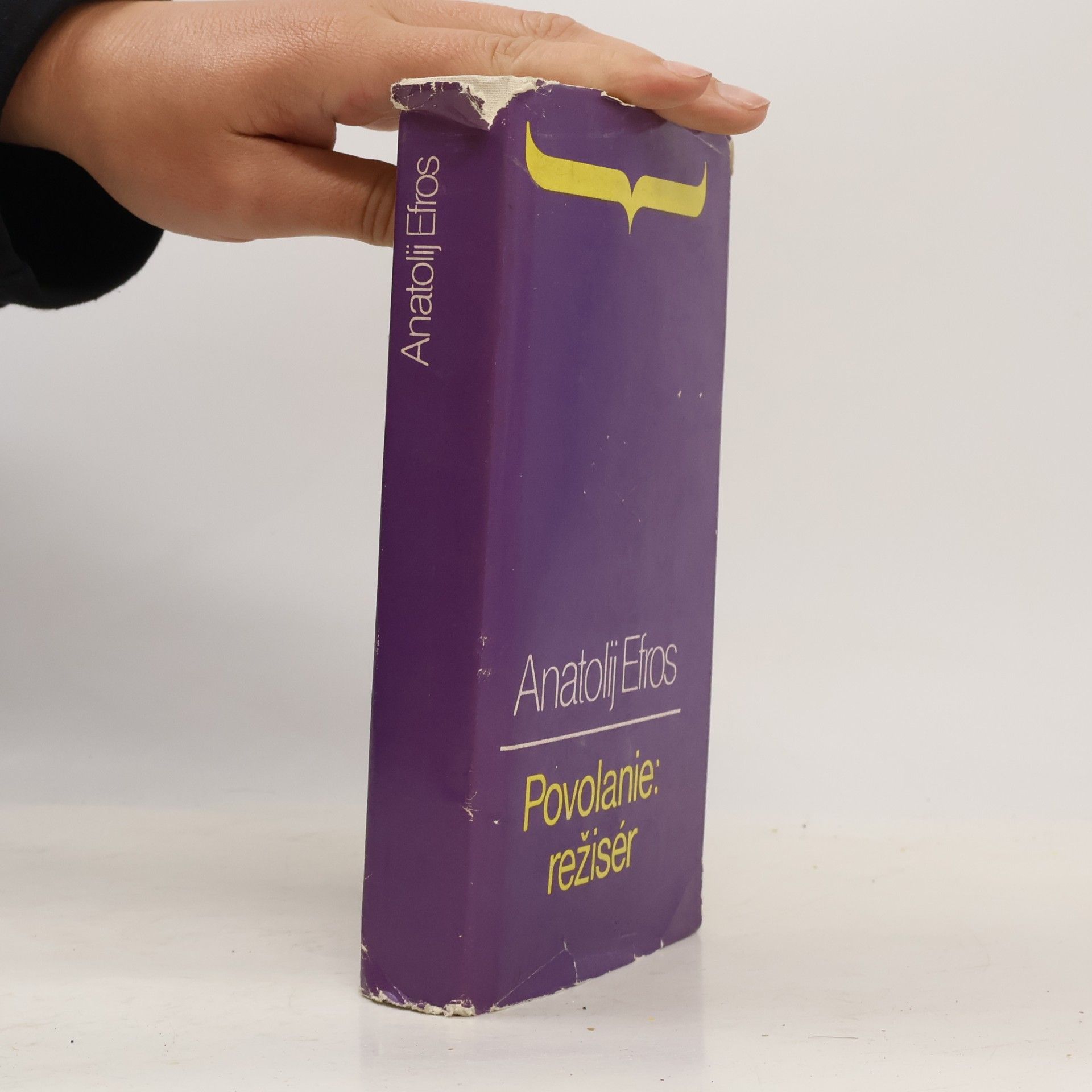 Anatolij Efros Povolanie režisér