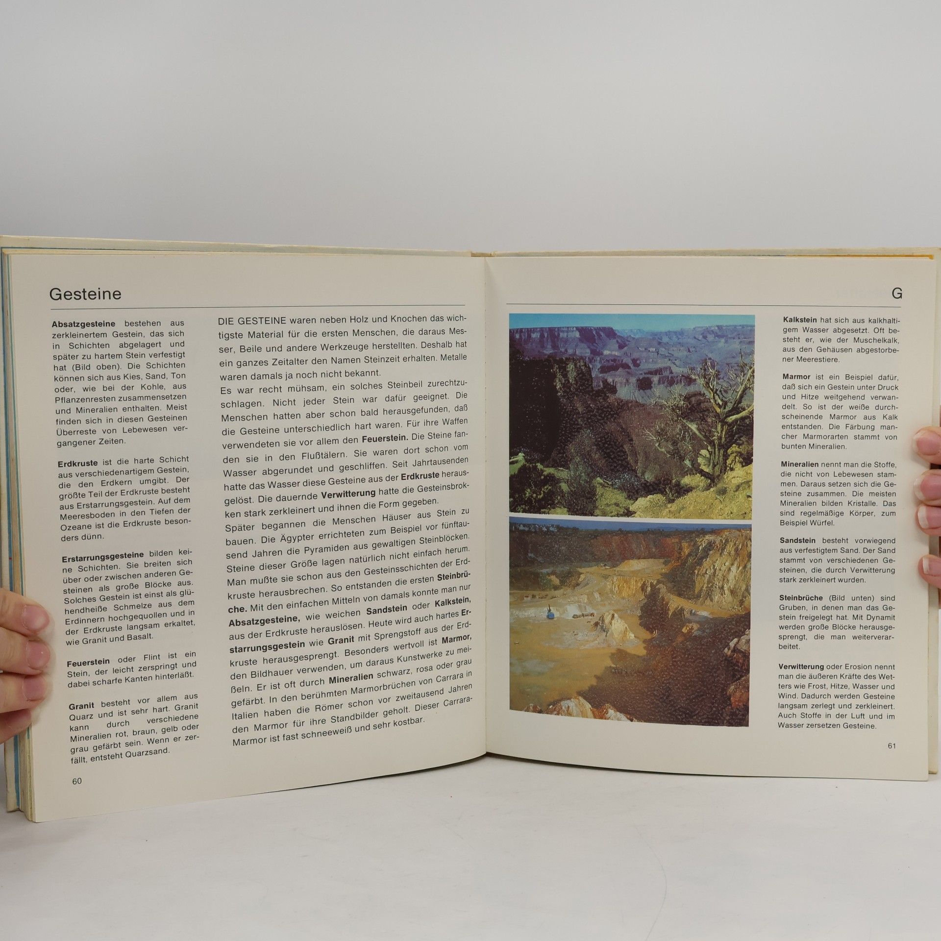 Autorenkollektiv Das bunte Buch von der Erde 2