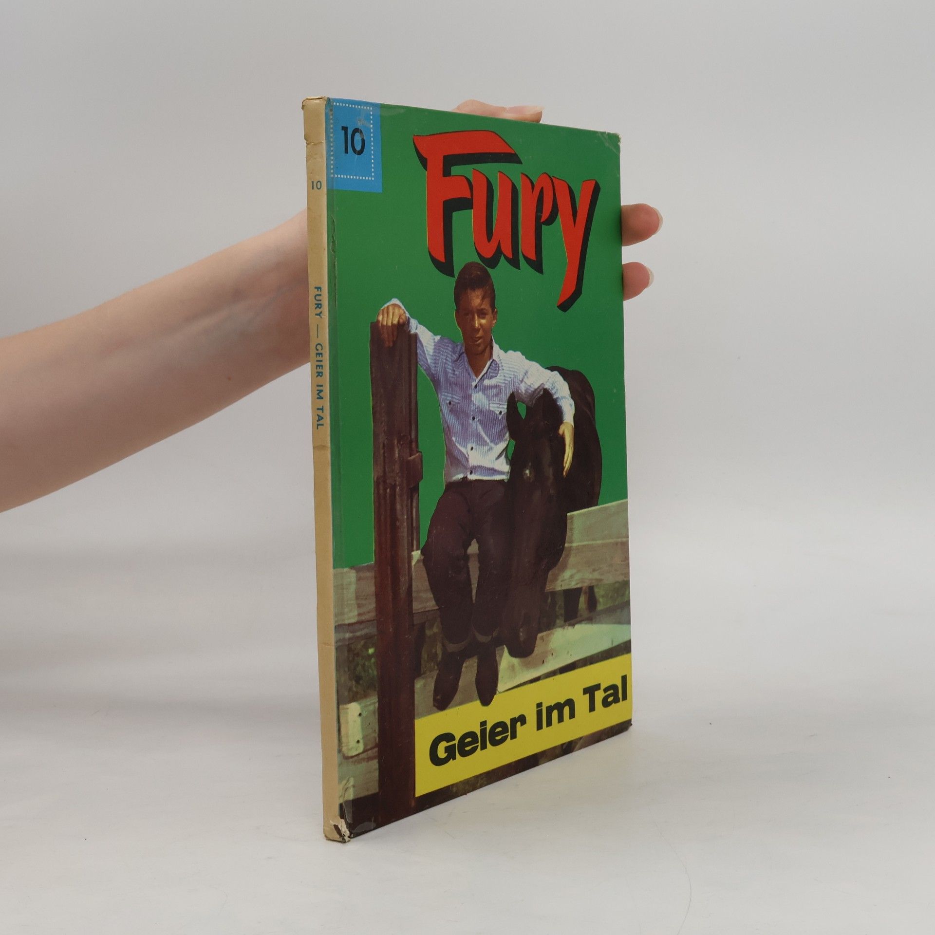 Various authors Fury. Geier im Tal 10.
