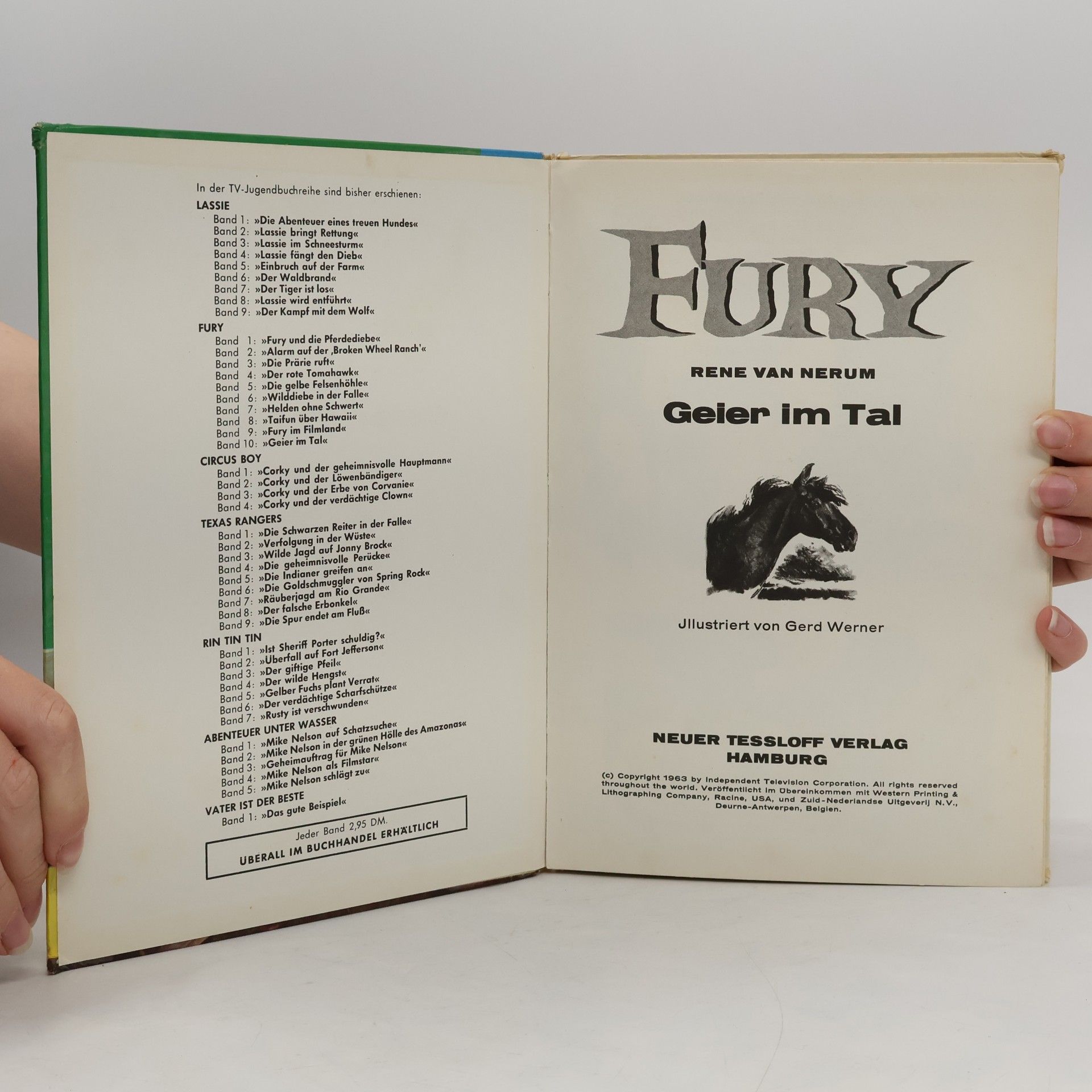Collectif d'auteurs Fury. Geier im Tal 10.