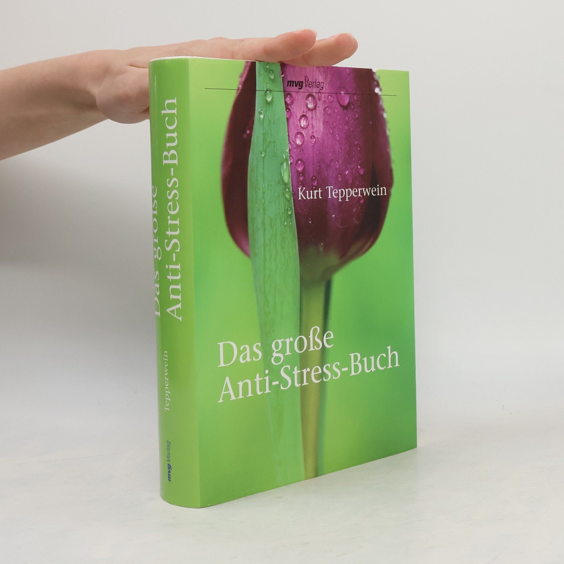 Kurt Tepperwein Das große Anti-Stress-Buch