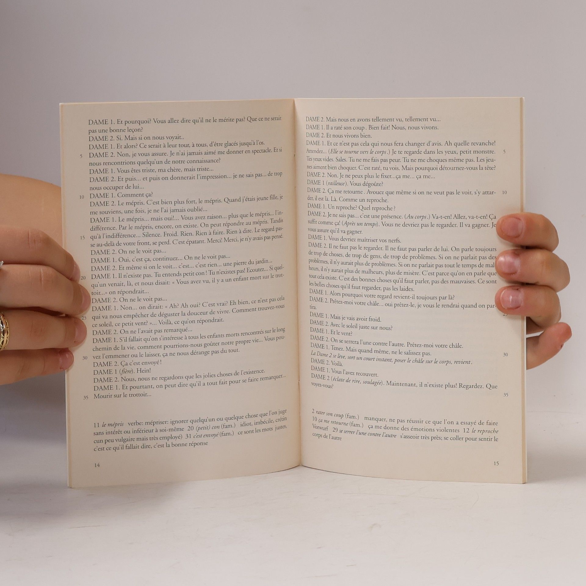Guy Foissy Diesterwegs Neusprachliche Bibliothek: L'enfant mort sur le trottoir