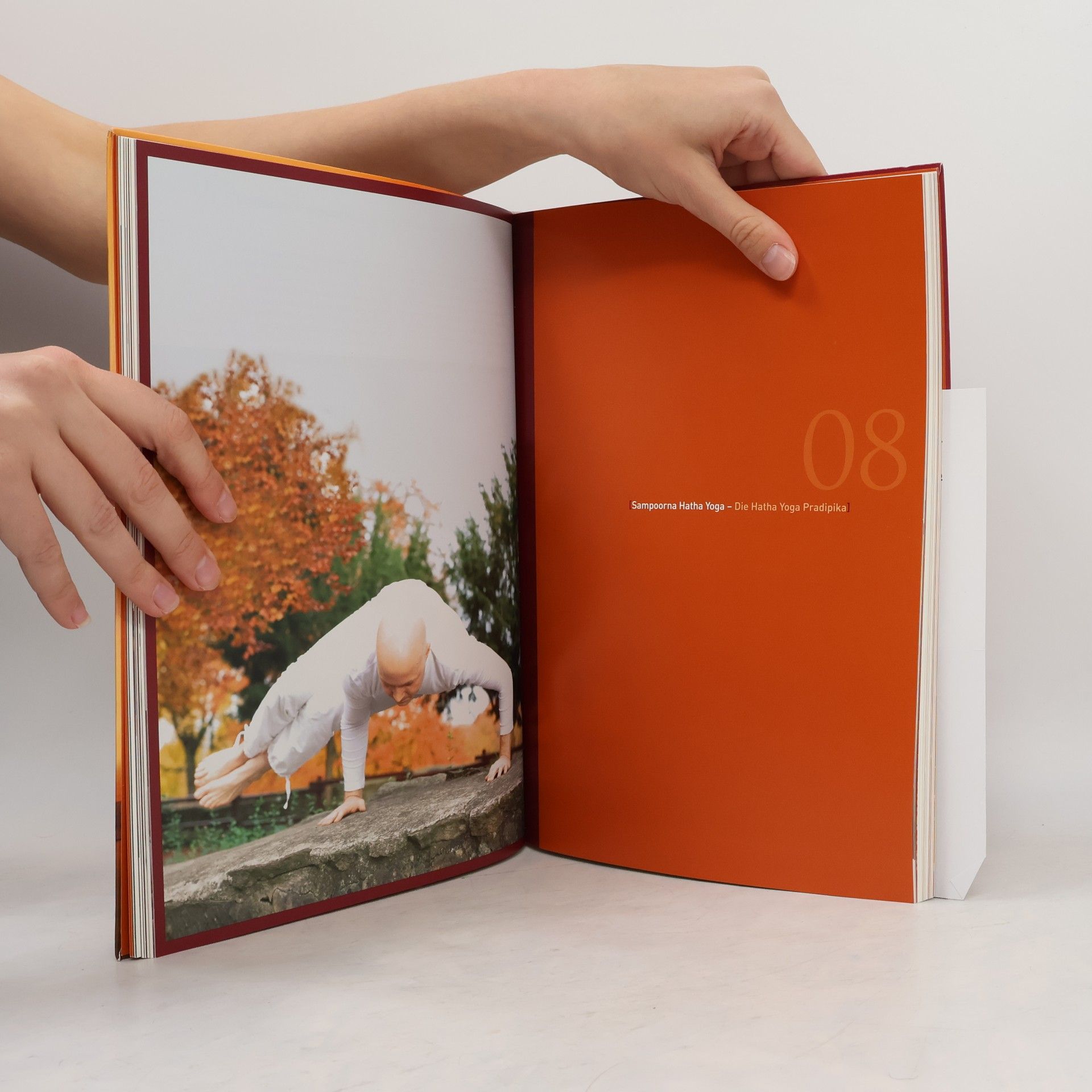 Marcel Anders-Hoepgen Das Hatha-Yoga Lehrbuch