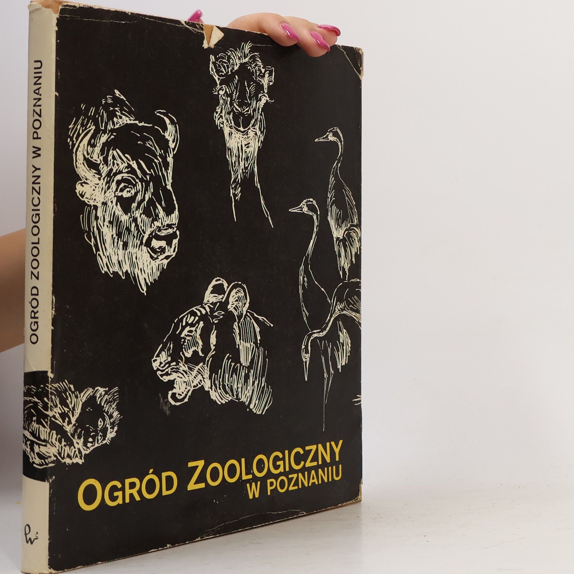 Collectif d'auteurs Ogród zoologiczny w Poznaniu