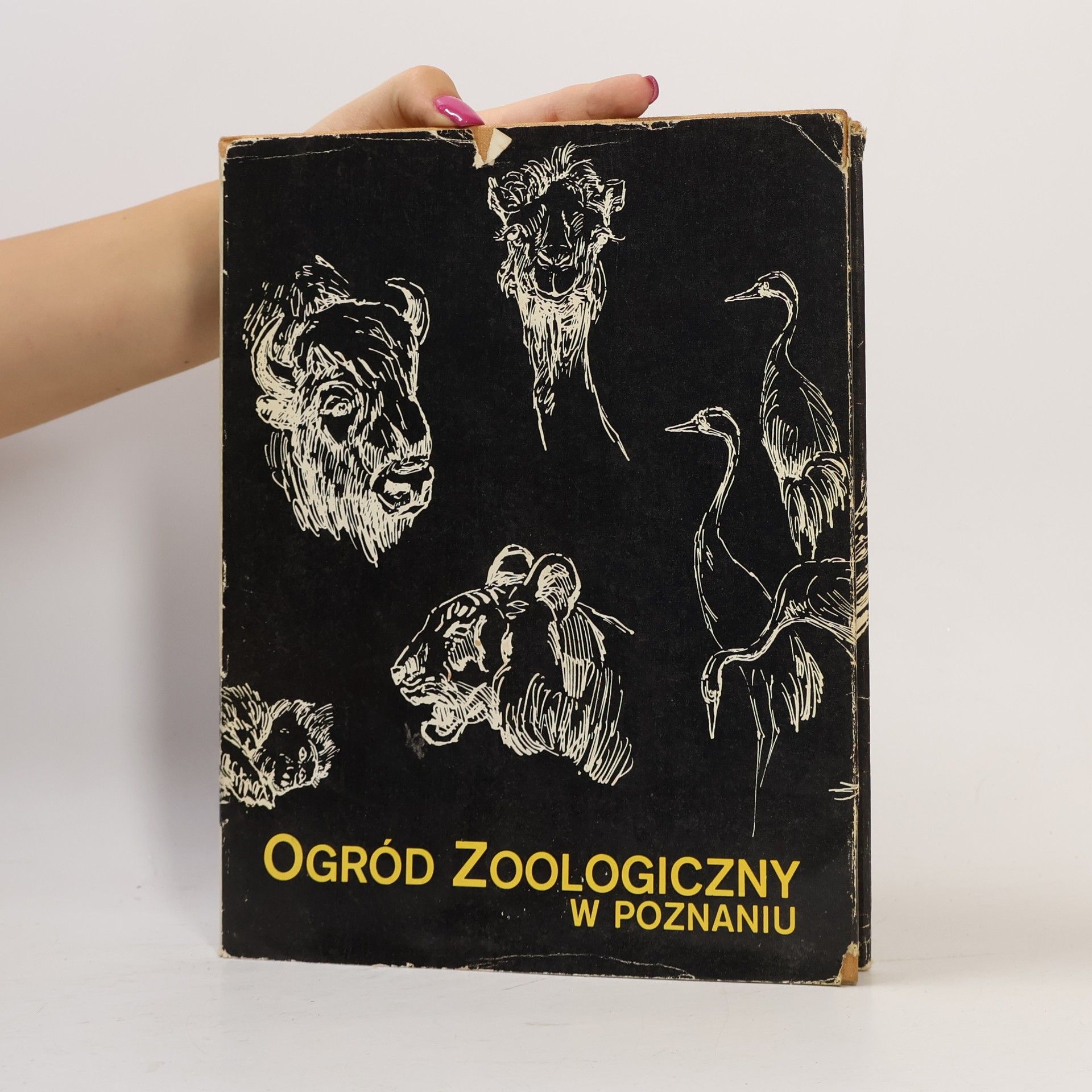AA.VV. Ogród zoologiczny w Poznaniu