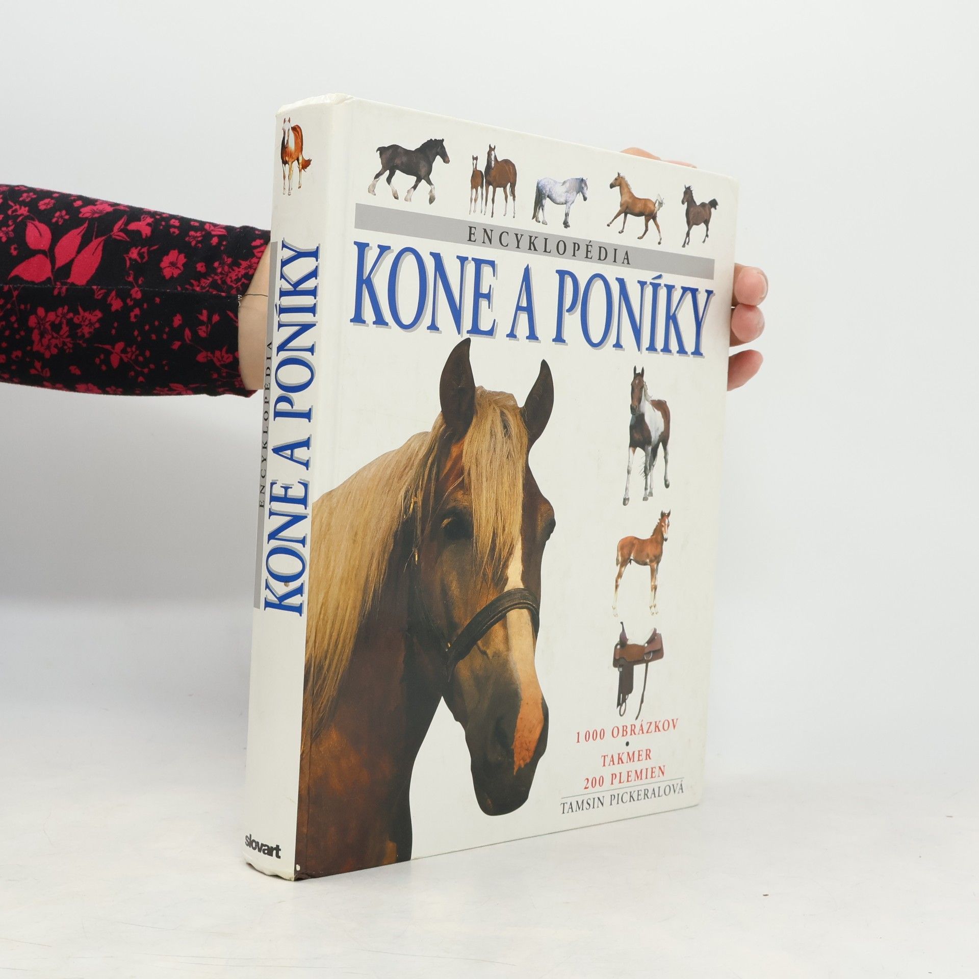 Tamsin Pickeral Encyklopédia Kone a poníky