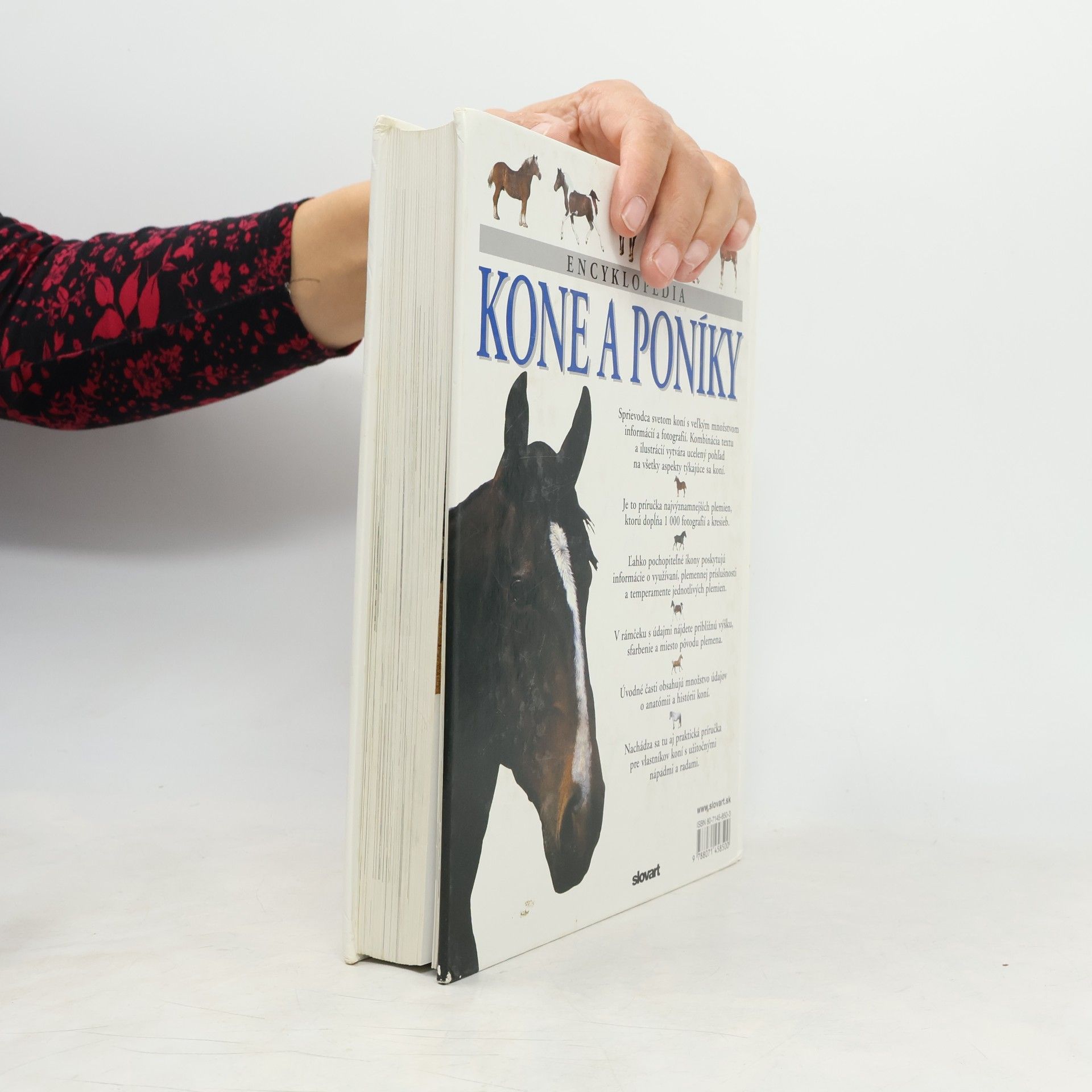 Tamsin Pickeral Encyklopédia Kone a poníky