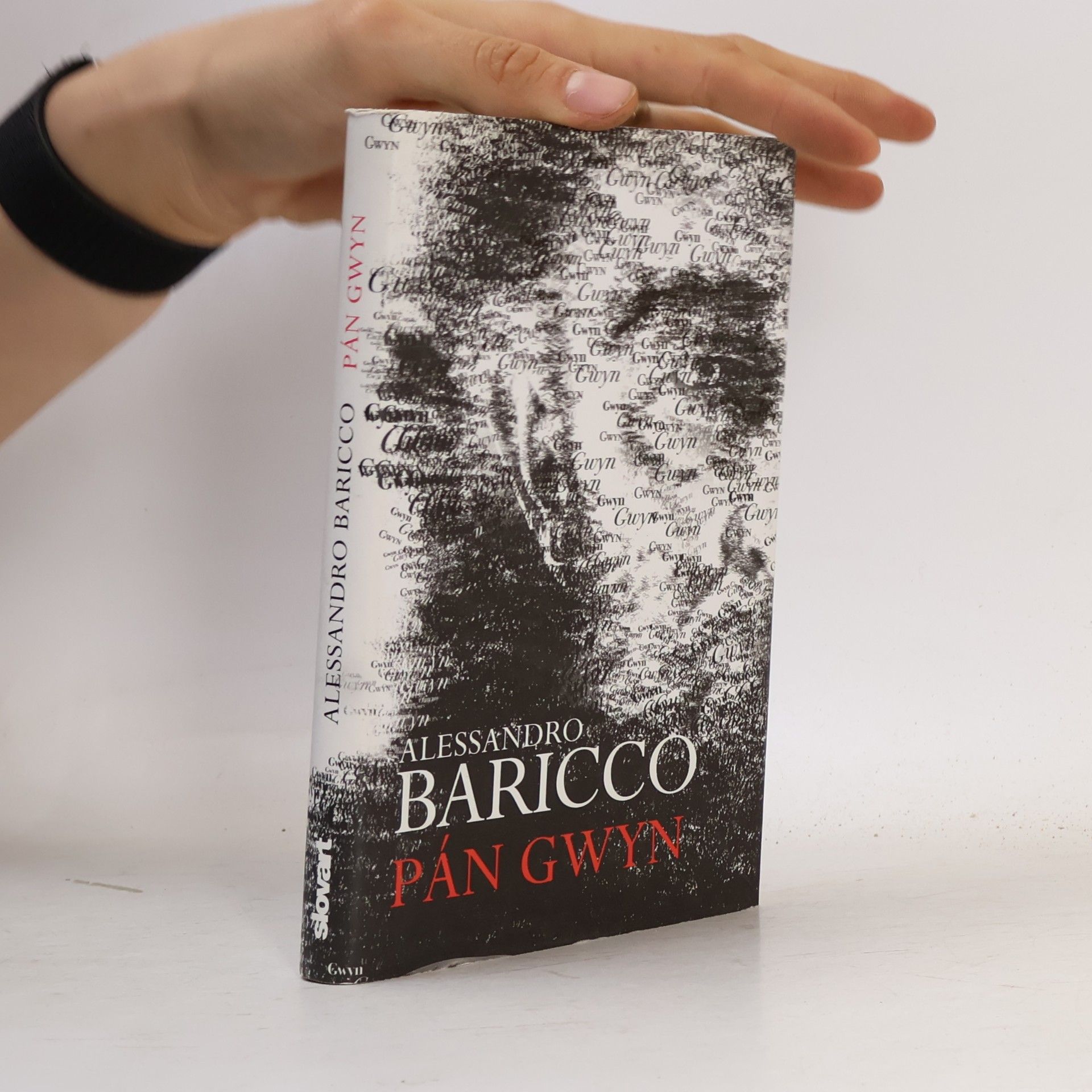 Alessandro Baricco Pán Gwyn