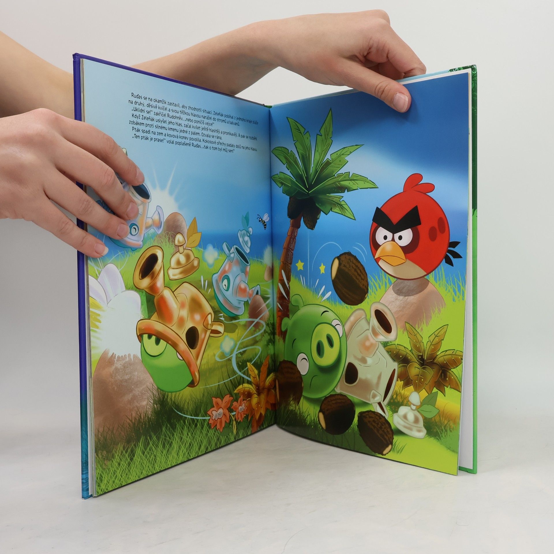 Tapani Bagge Angry Birds. Záhada zeleného ptáka
