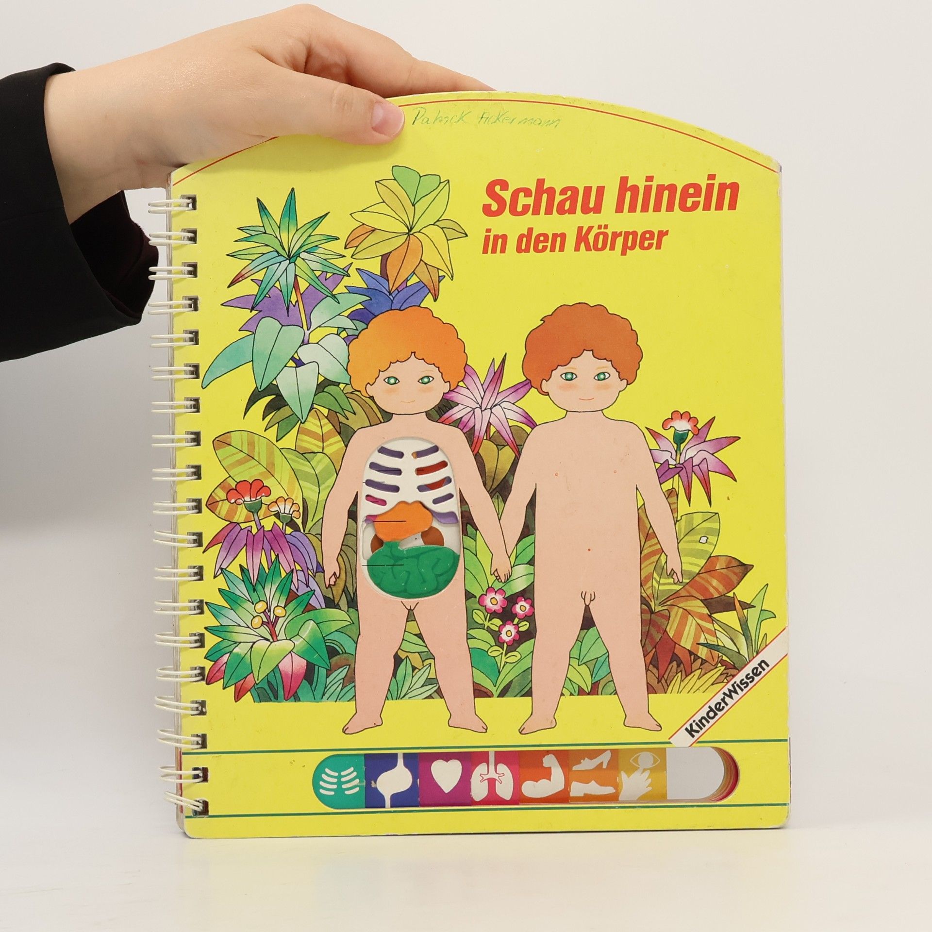 Mario Gomboli Schau hinein in den Körper