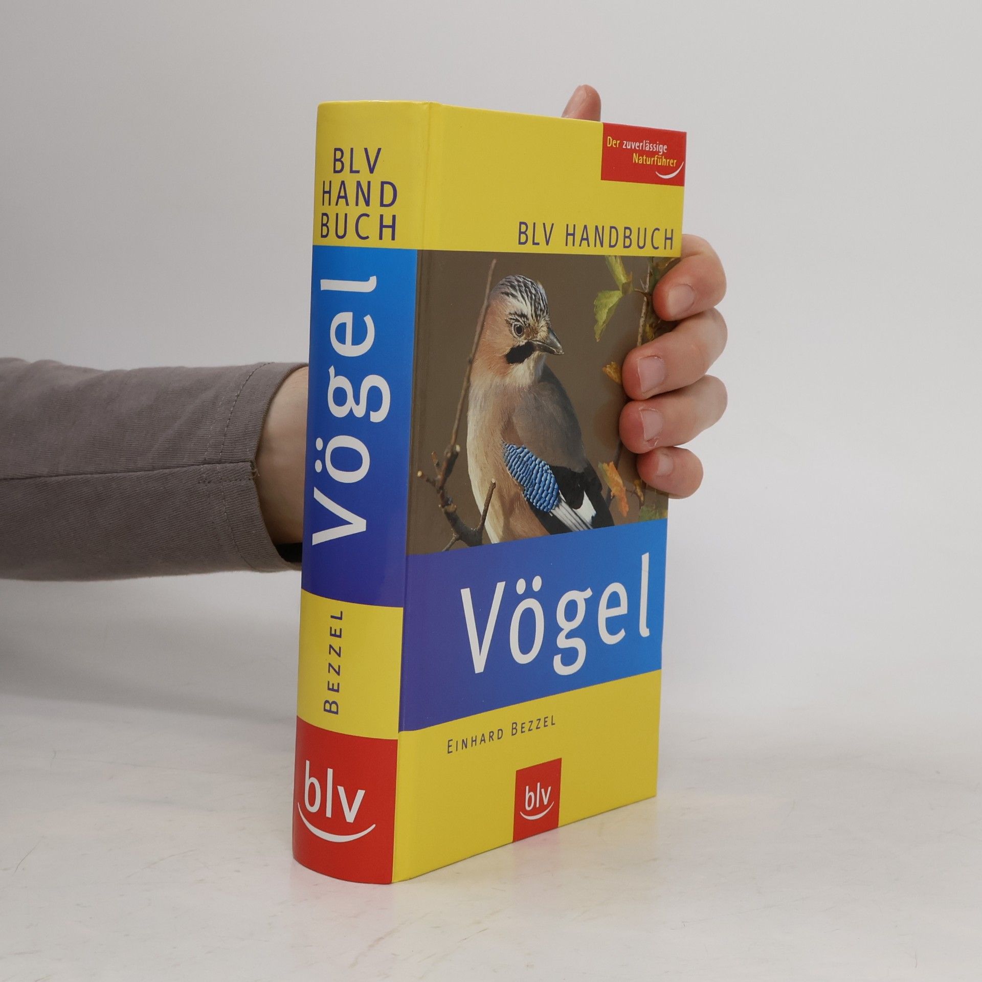 Einhard Bezzel BLV-Handbuch Vögel