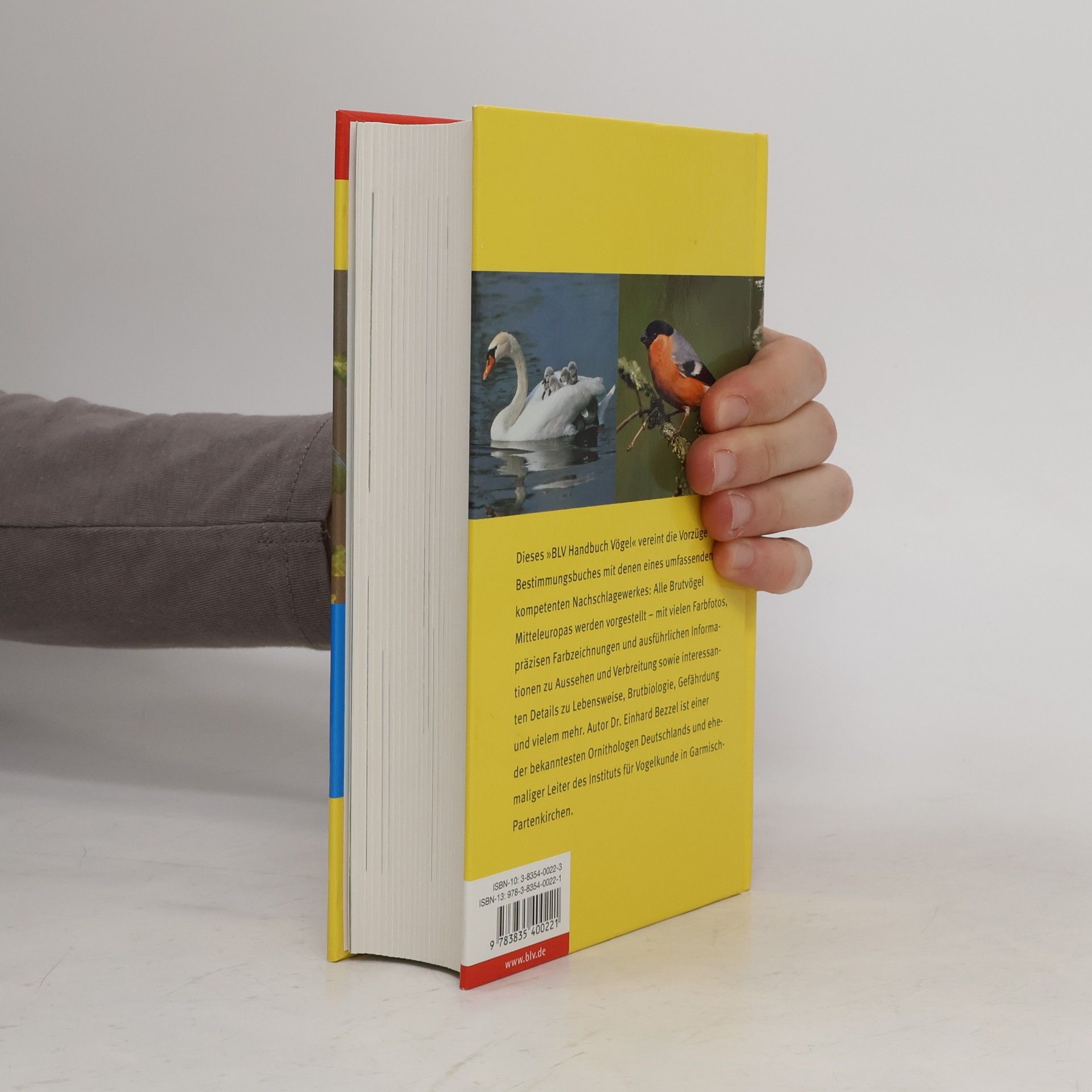 Einhard Bezzel BLV-Handbuch Vögel