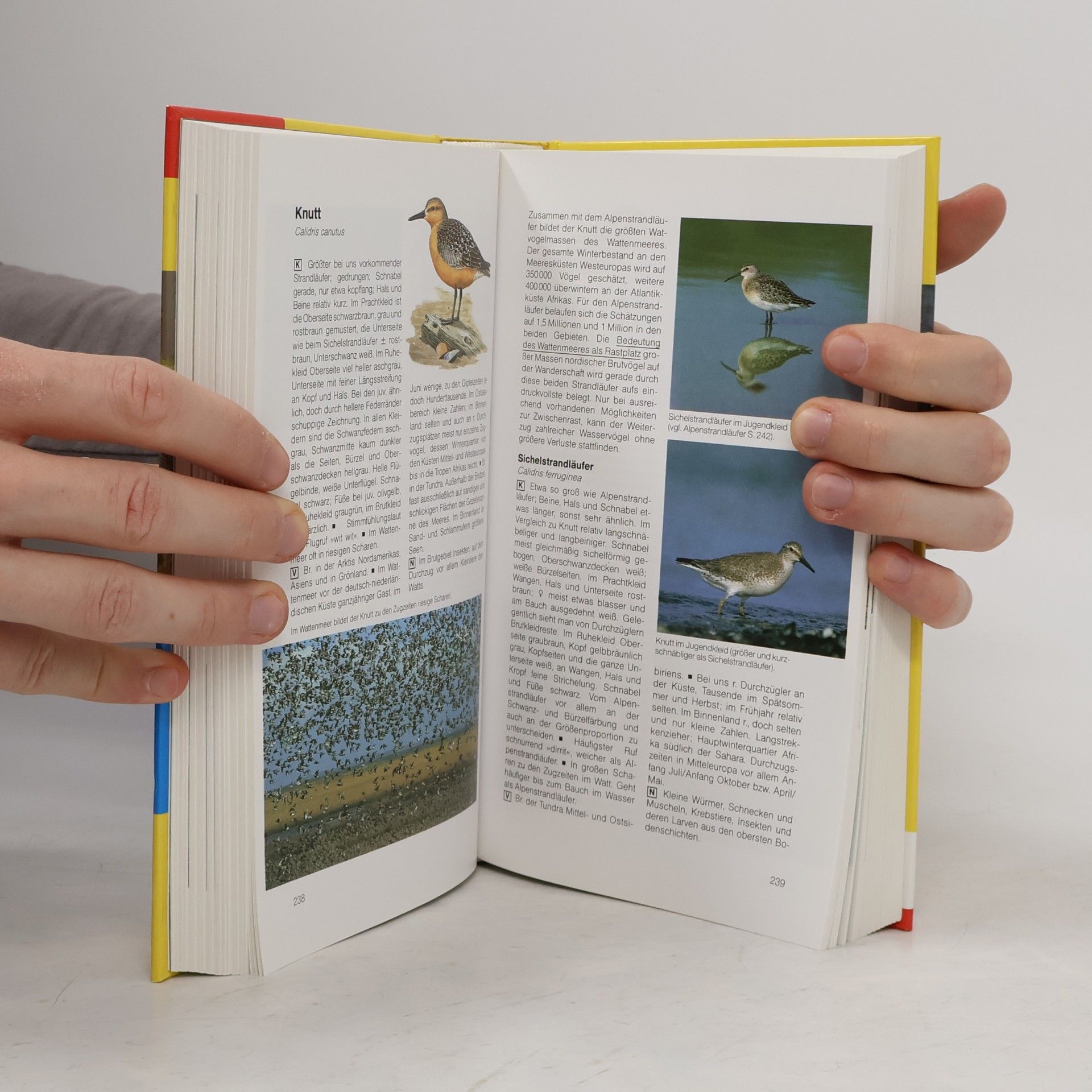 Einhard Bezzel BLV-Handbuch Vögel