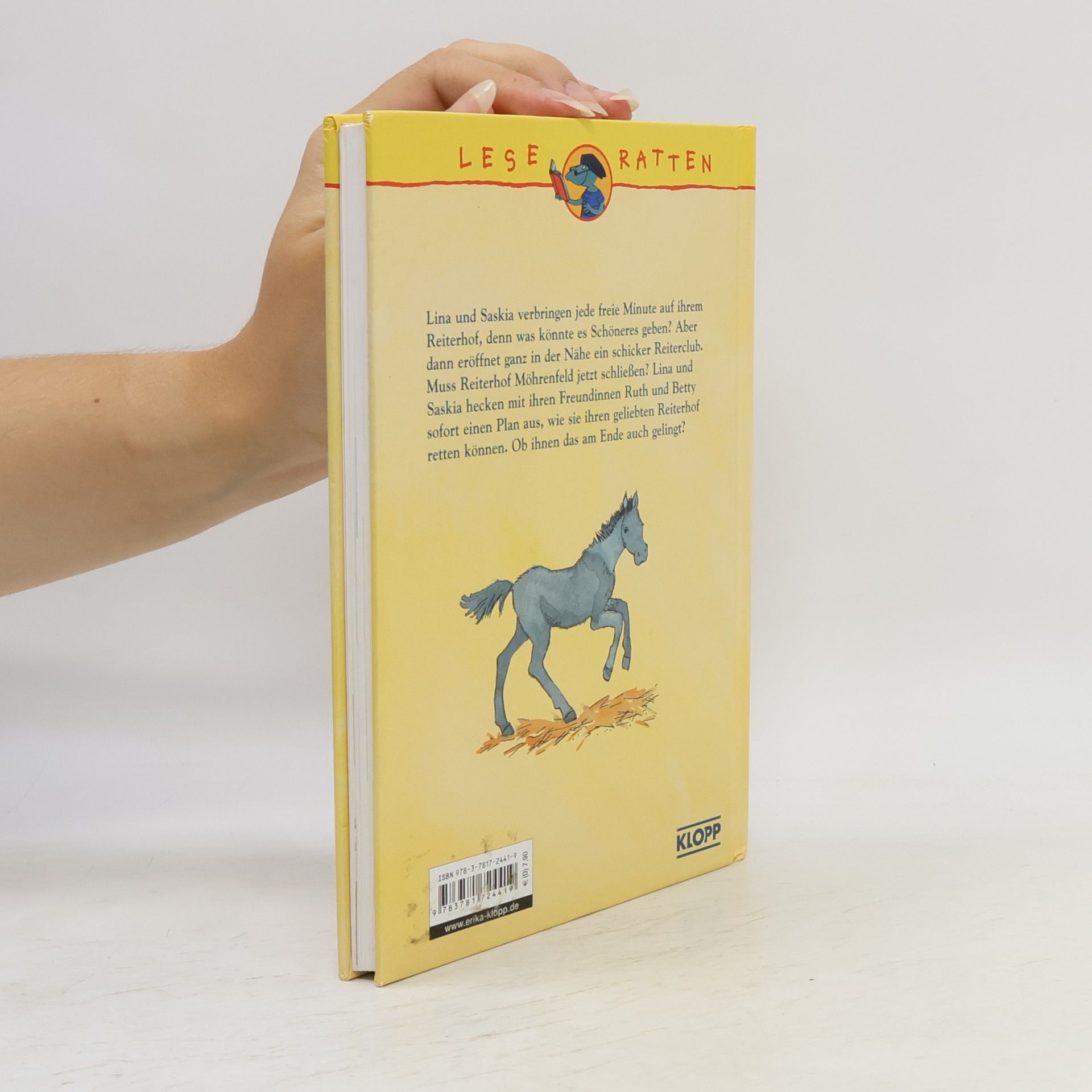 Michaela Hanauer Pony & Co - Der beste Reiterhof der Welt