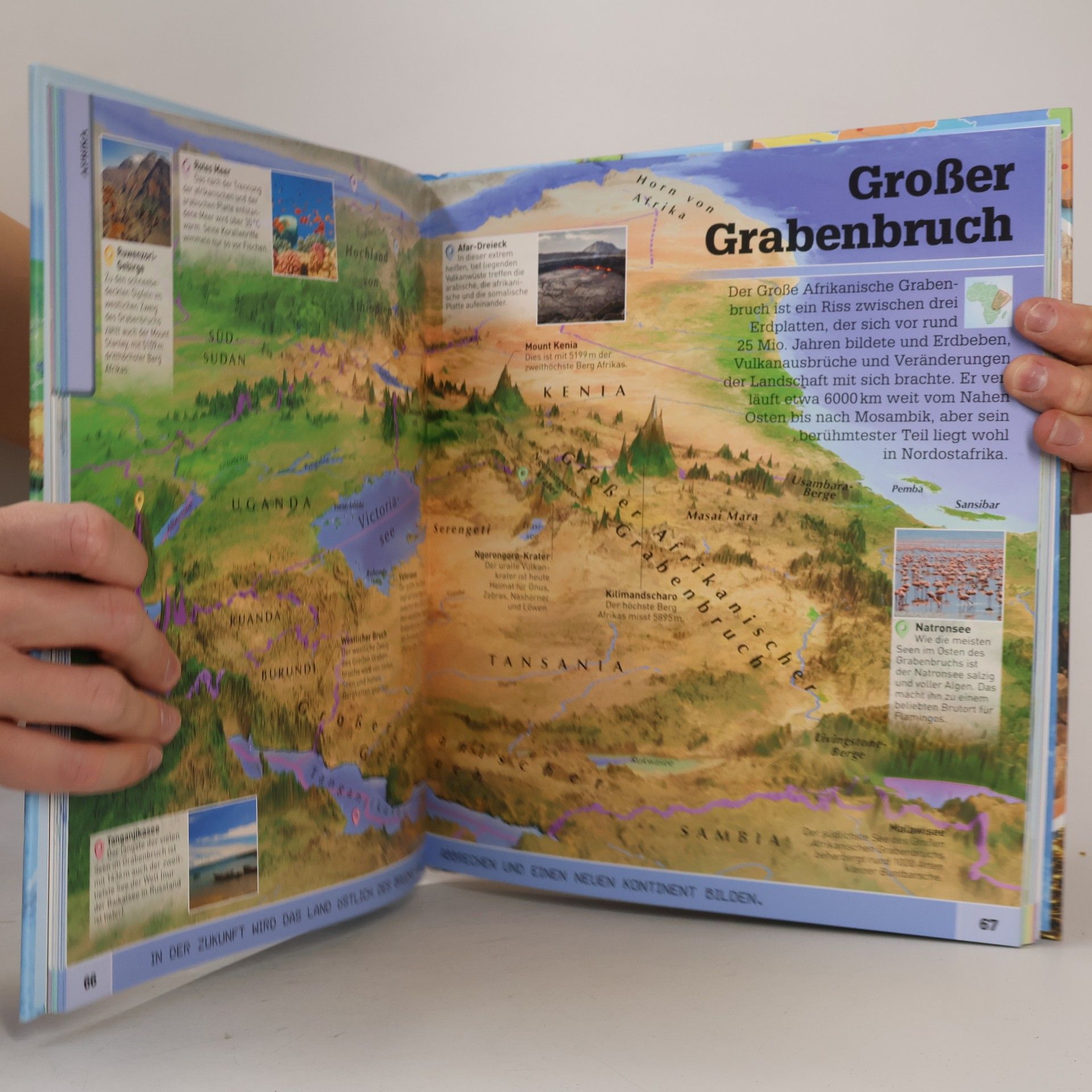Dorling Kindersley Verlag Wo in aller Welt?