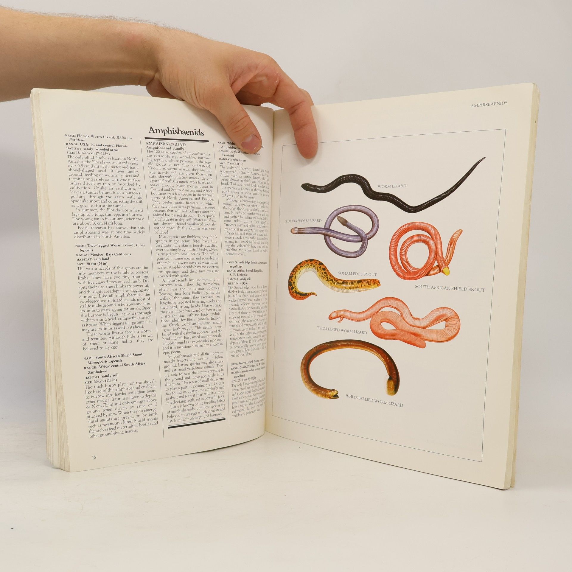 Dr Philip Whitfield Longman Wildlife Library: Reptiles And Amphibians