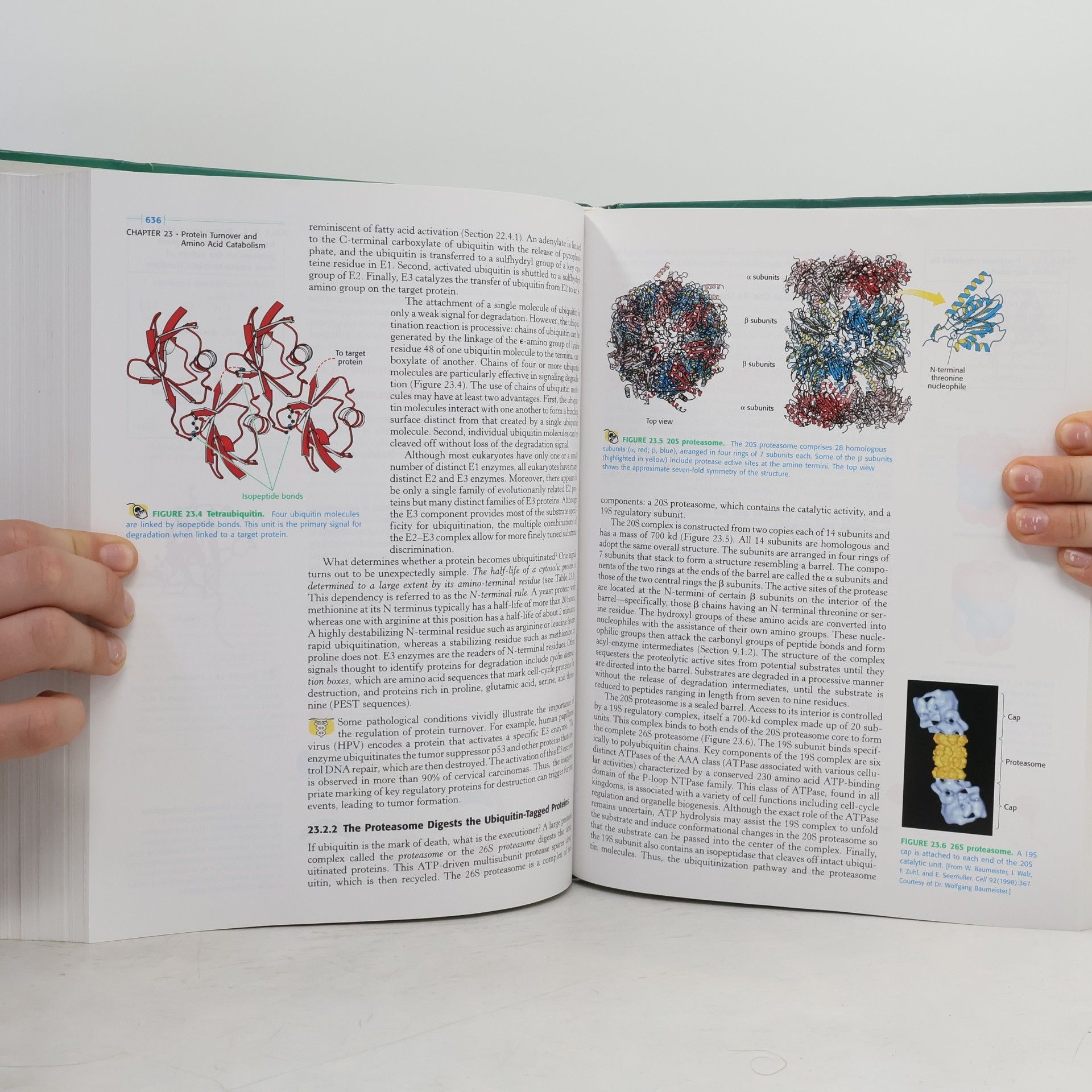 Lubert Stryer Biochemistry, Fifth Edition