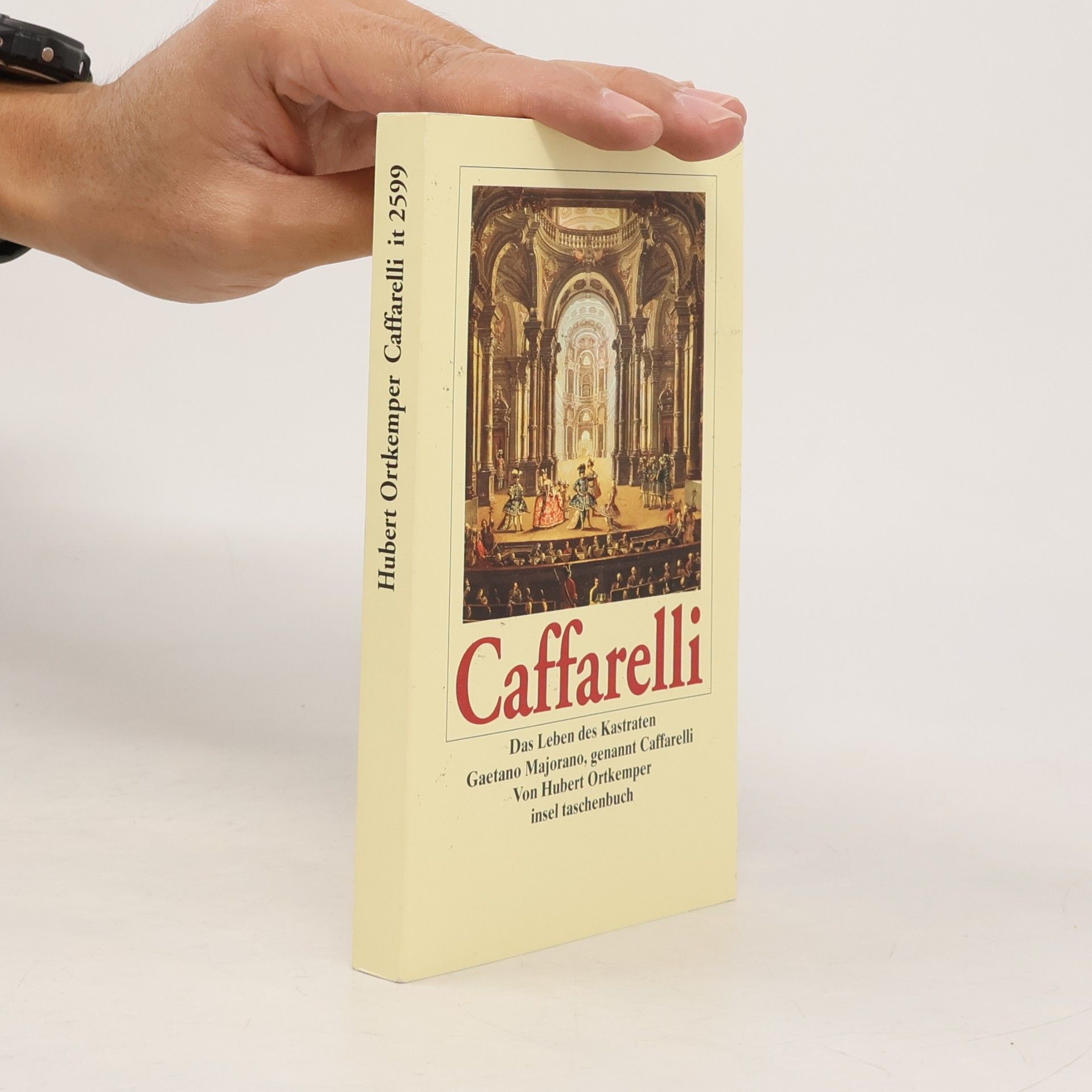 Hubert Ortkemper Insel Taschenbuch - 2599: Caffarelli