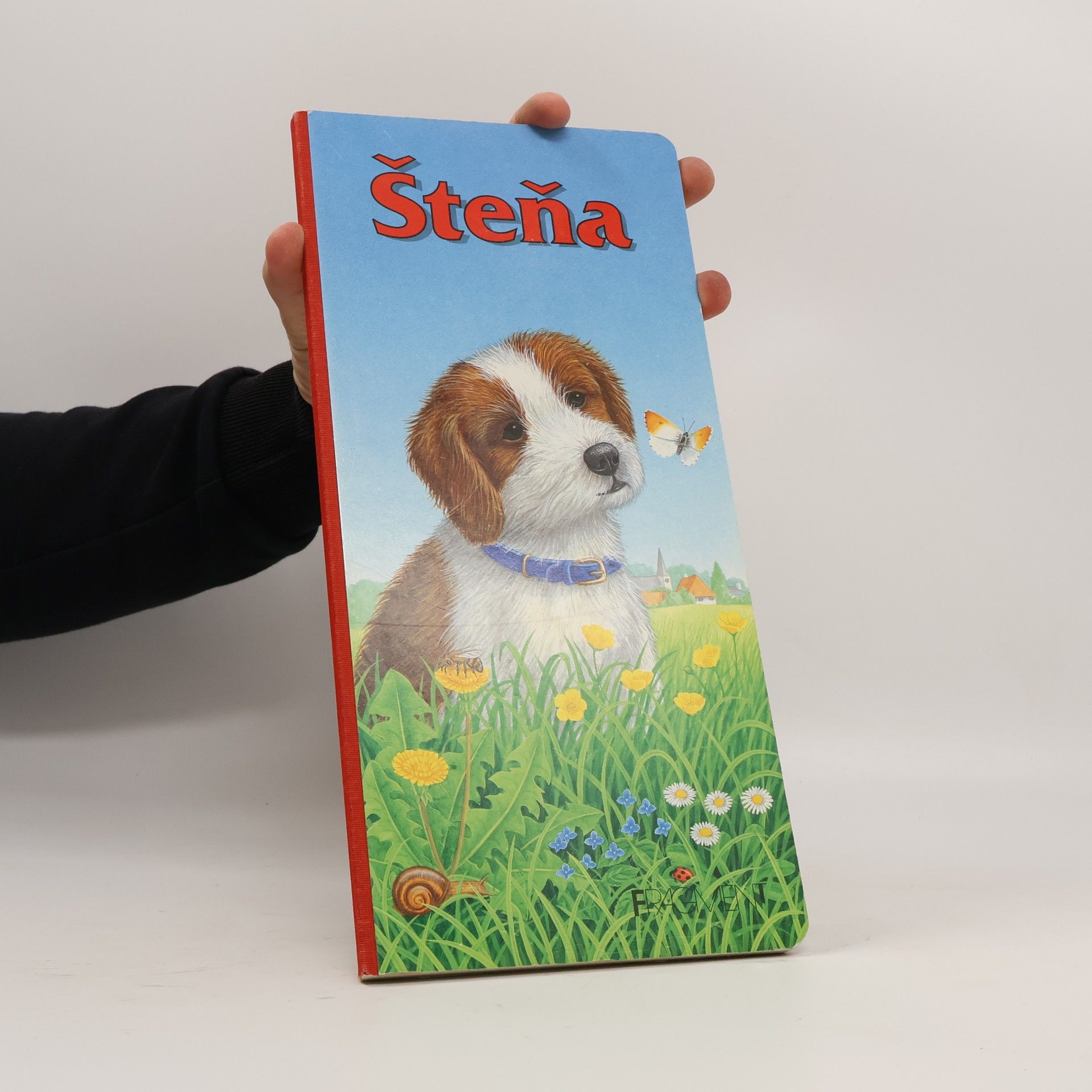 Šteňa