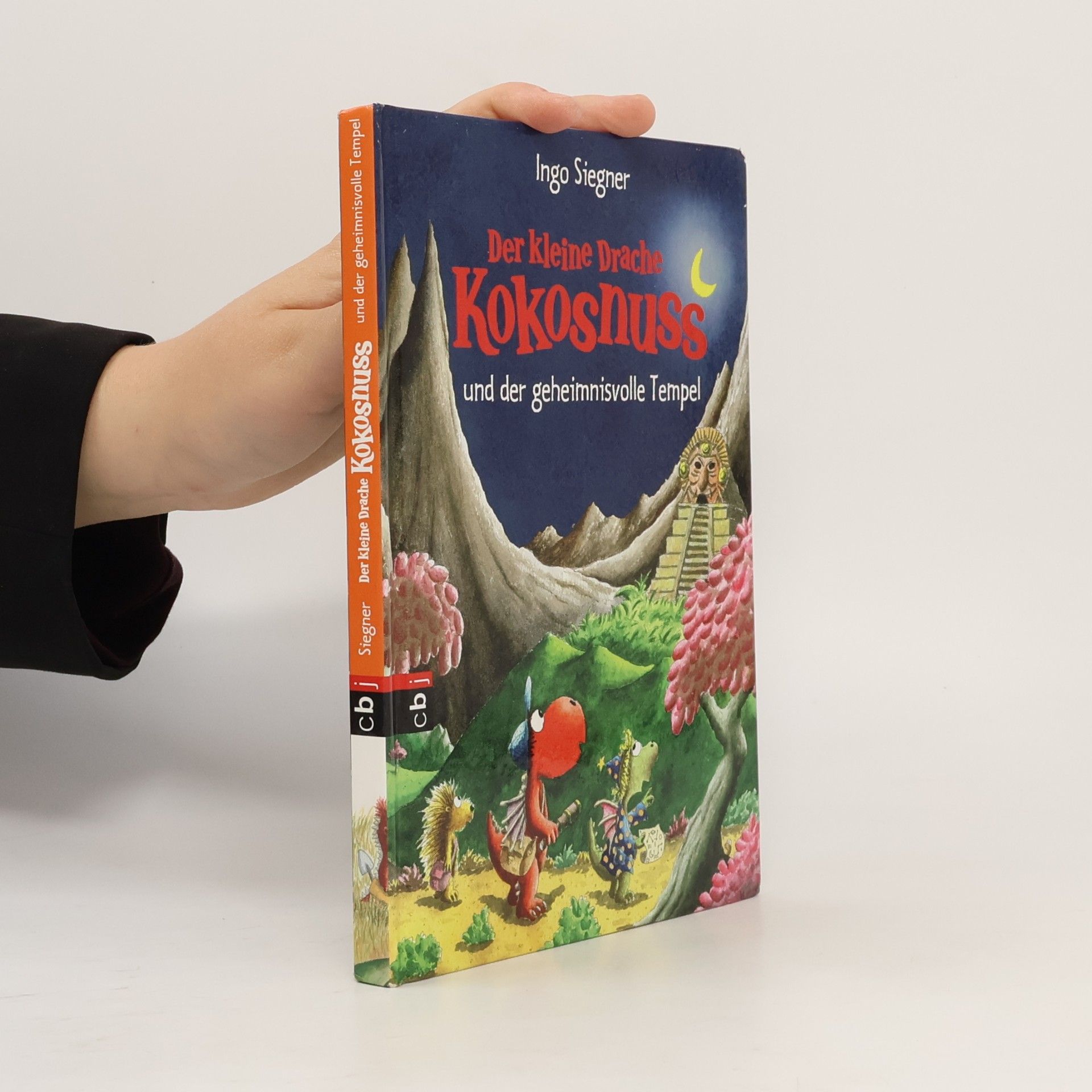 Der kleine Drache Kokosnuss und der geheimnisvolle Tempel