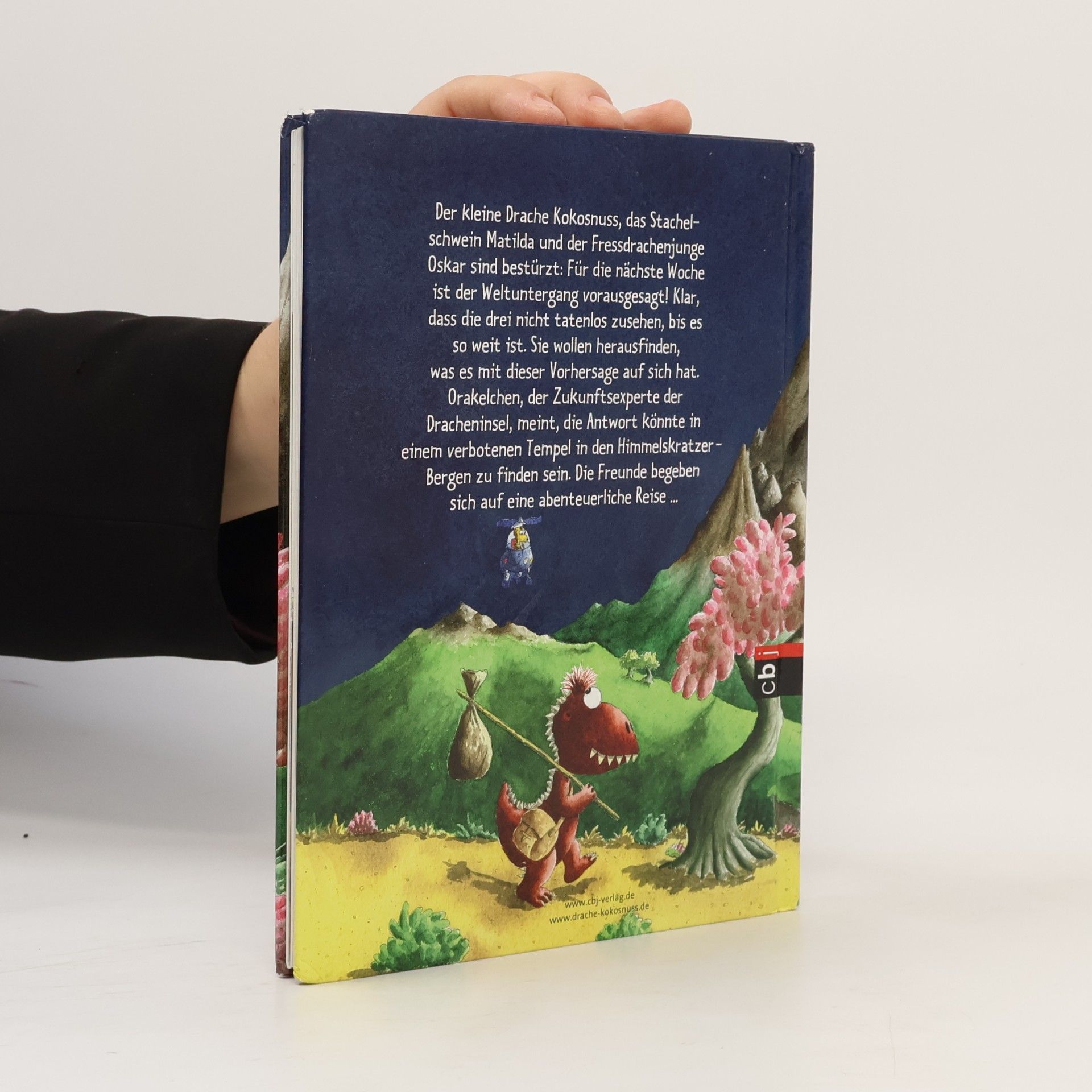 Ingo Siegner Der kleine Drache Kokosnuss und der geheimnisvolle Tempel