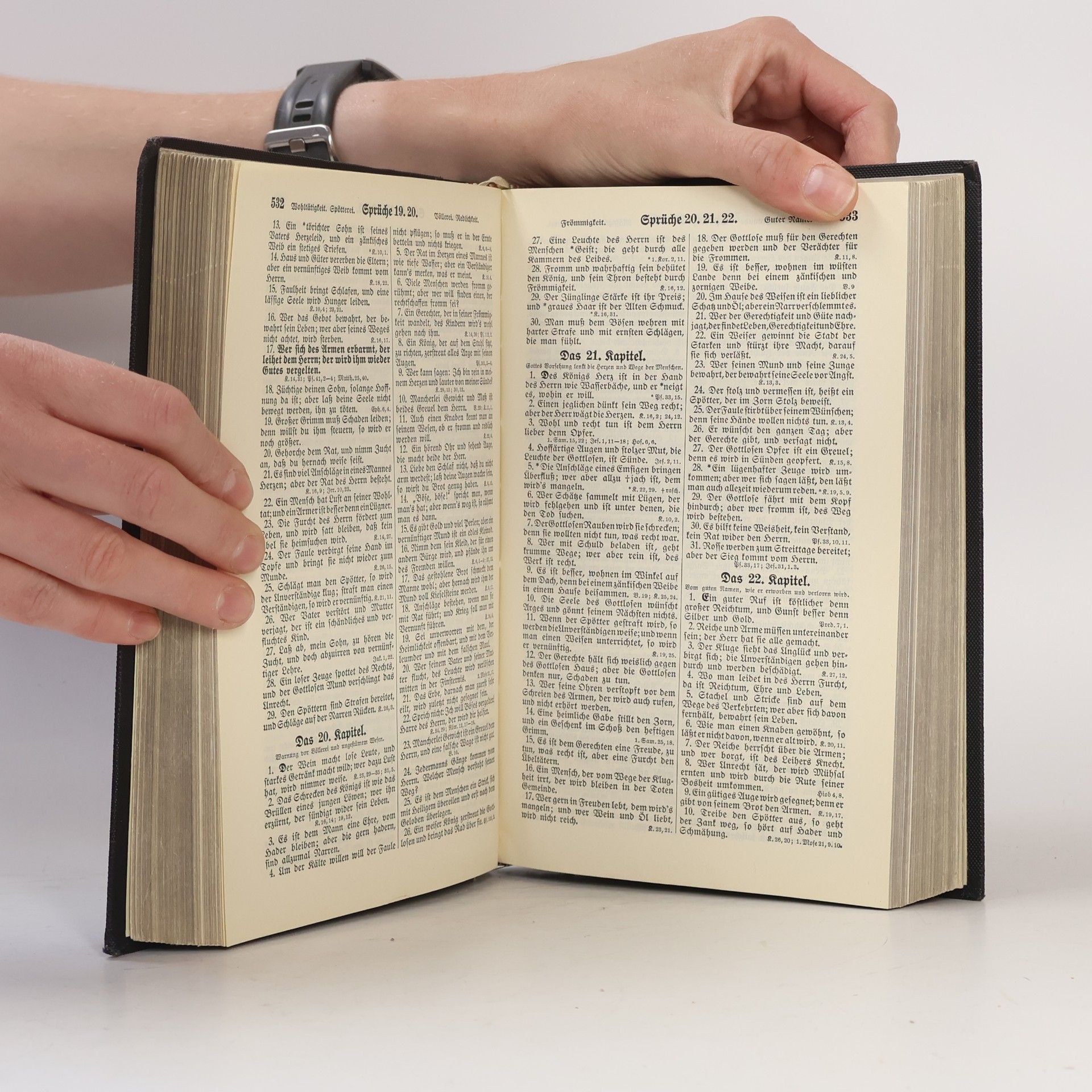 Martin Luther Die Bibel oder die ganze Heilige Schrift des Alten und Neuen Testamensts