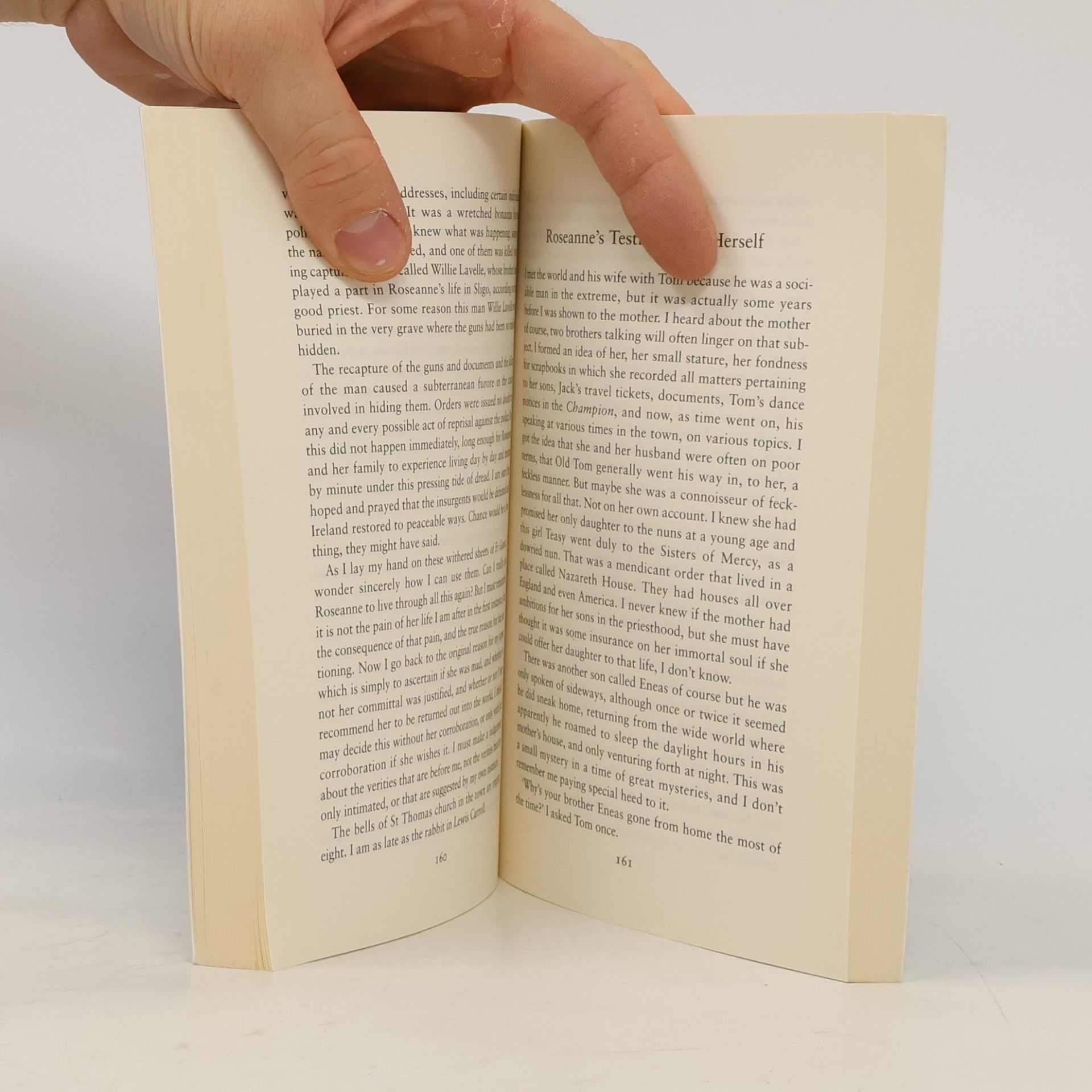 Sebastian Barry The Secret Scripture