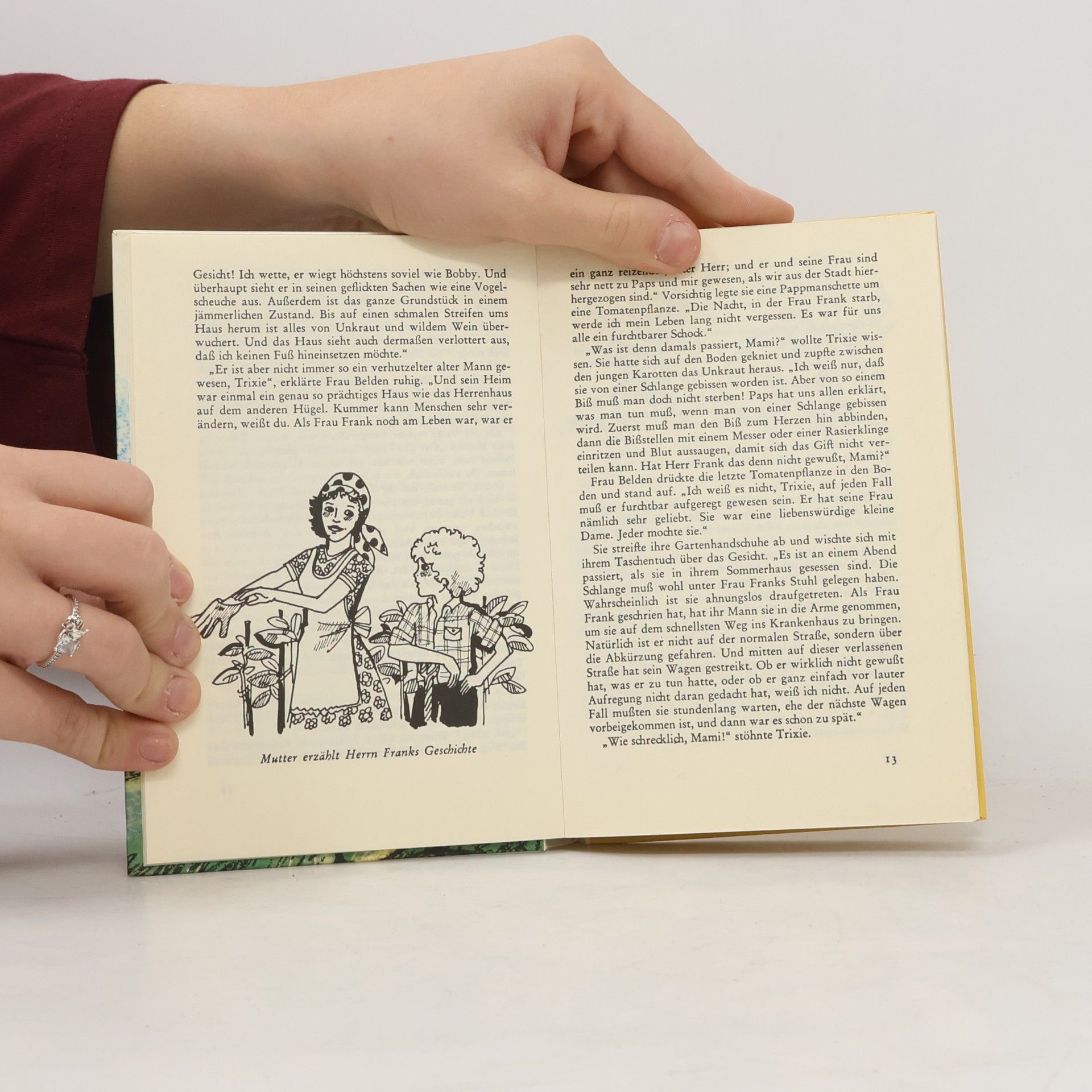Julie Campbell Trixie Belden und das Geheimnis des Landhauses
