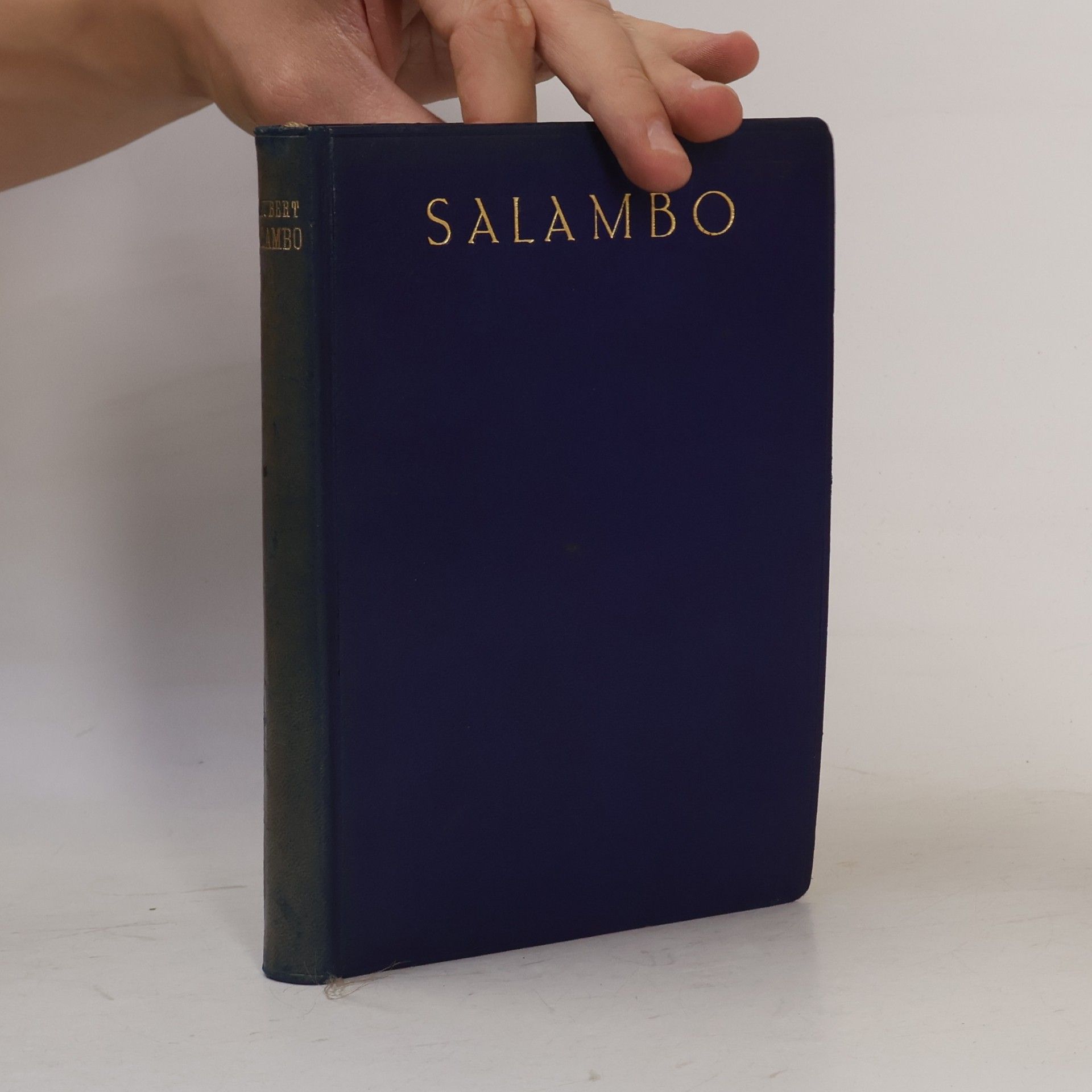 Gustave Flaubert Salambo