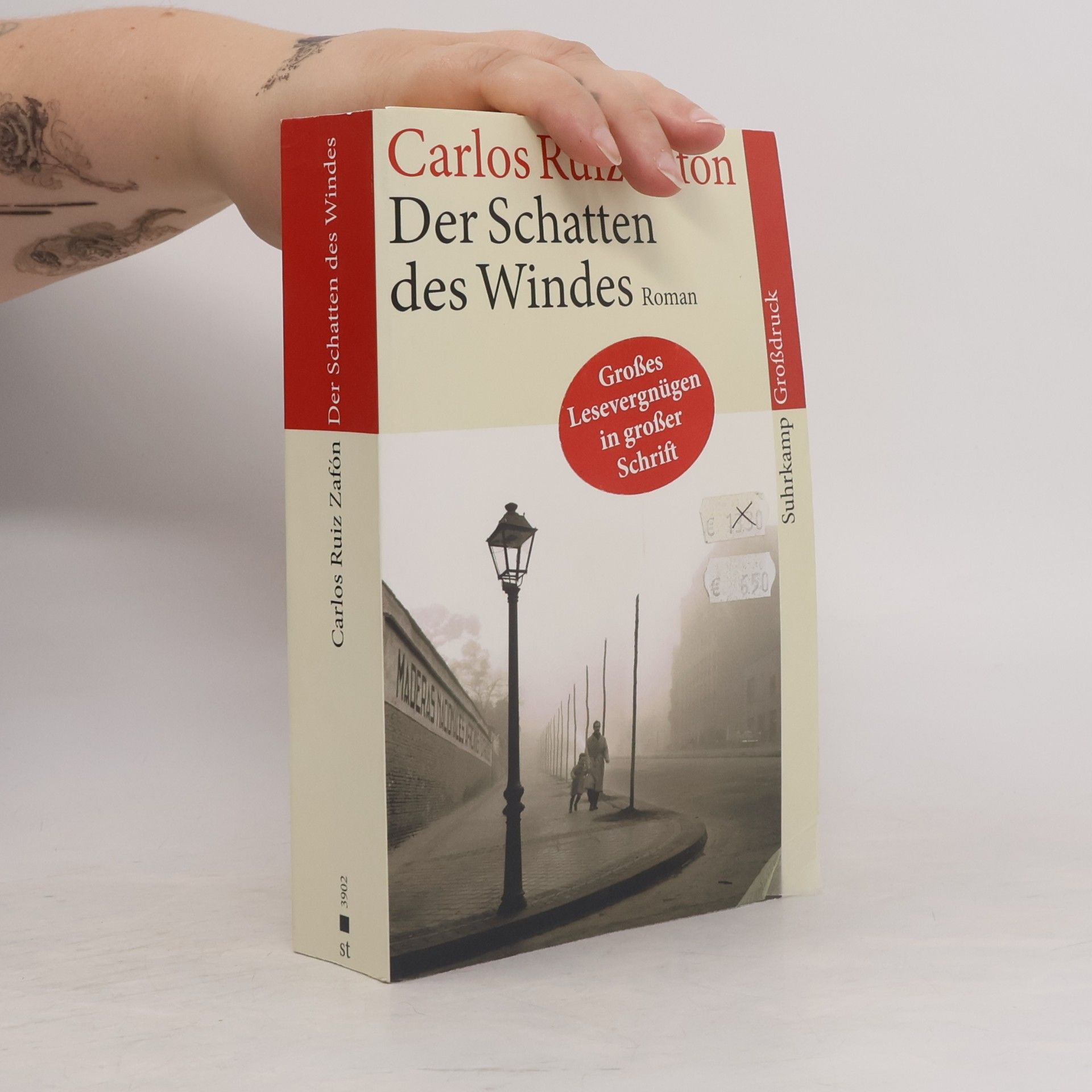 Carlos Ruiz Zafón Der Schatten des Windes