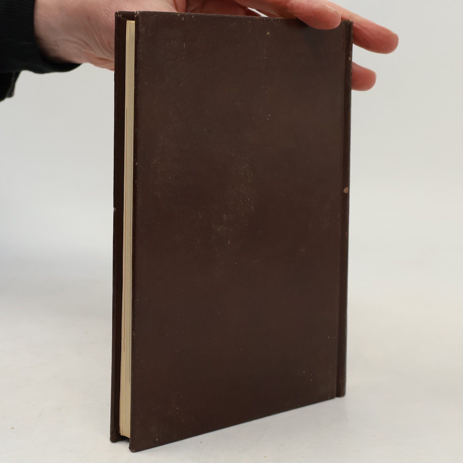 Autorenkollektiv Storia Universale dell'Arte 8