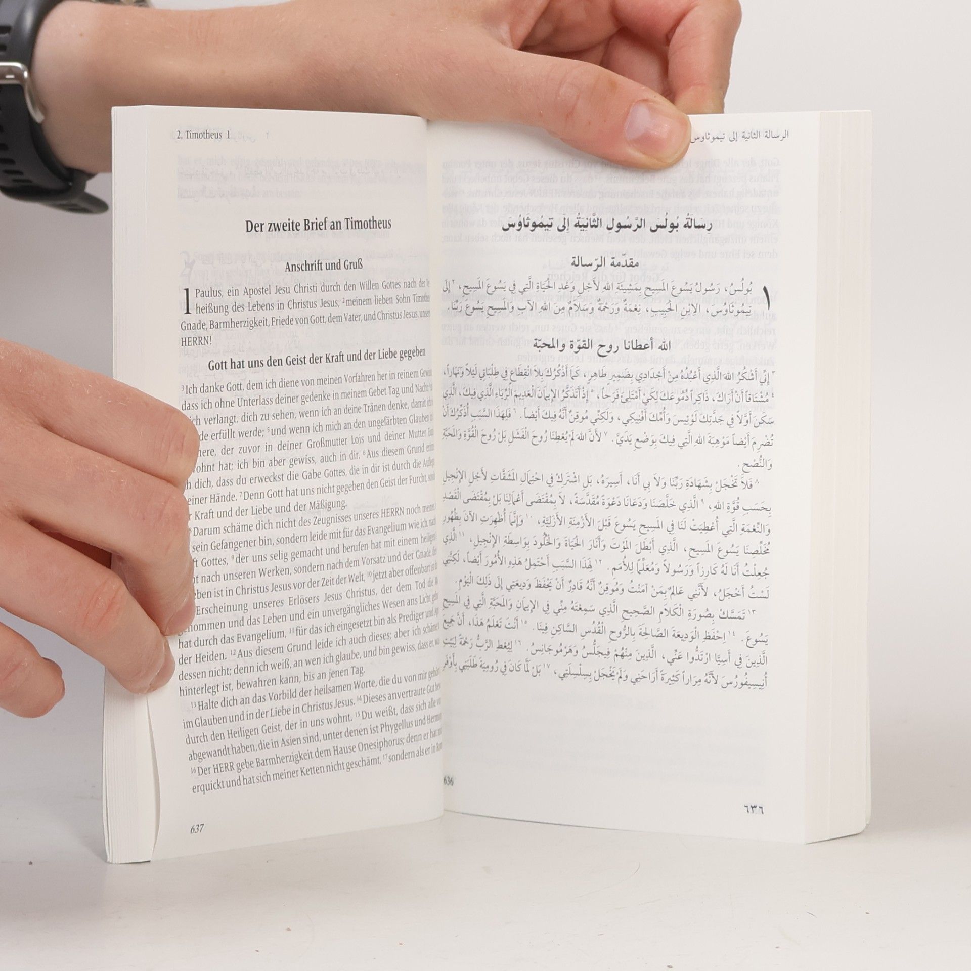 Autorenkollektiv الإنجيل - العهد الجديد. Das Neue Testament