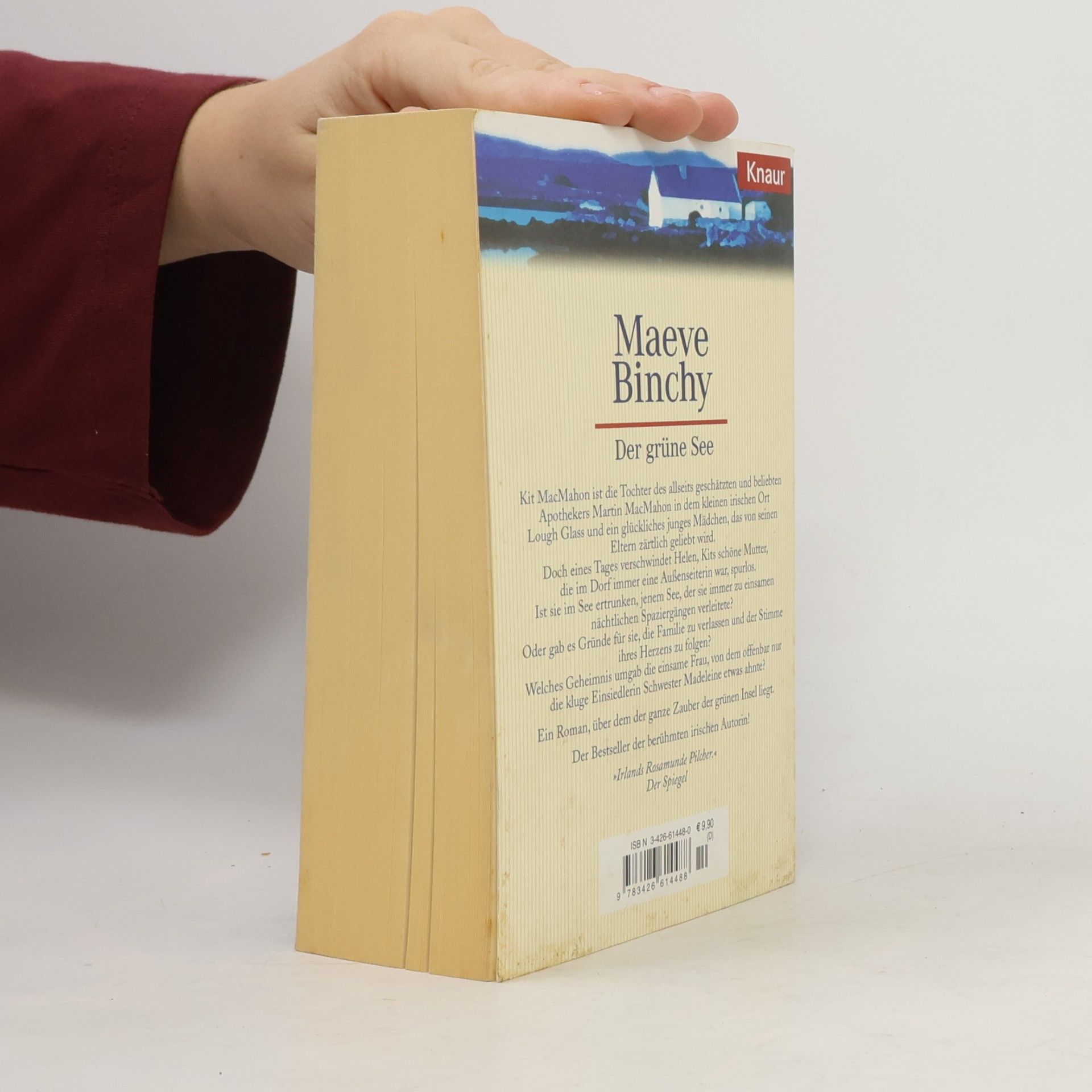 Maeve Binchy Der grüne See